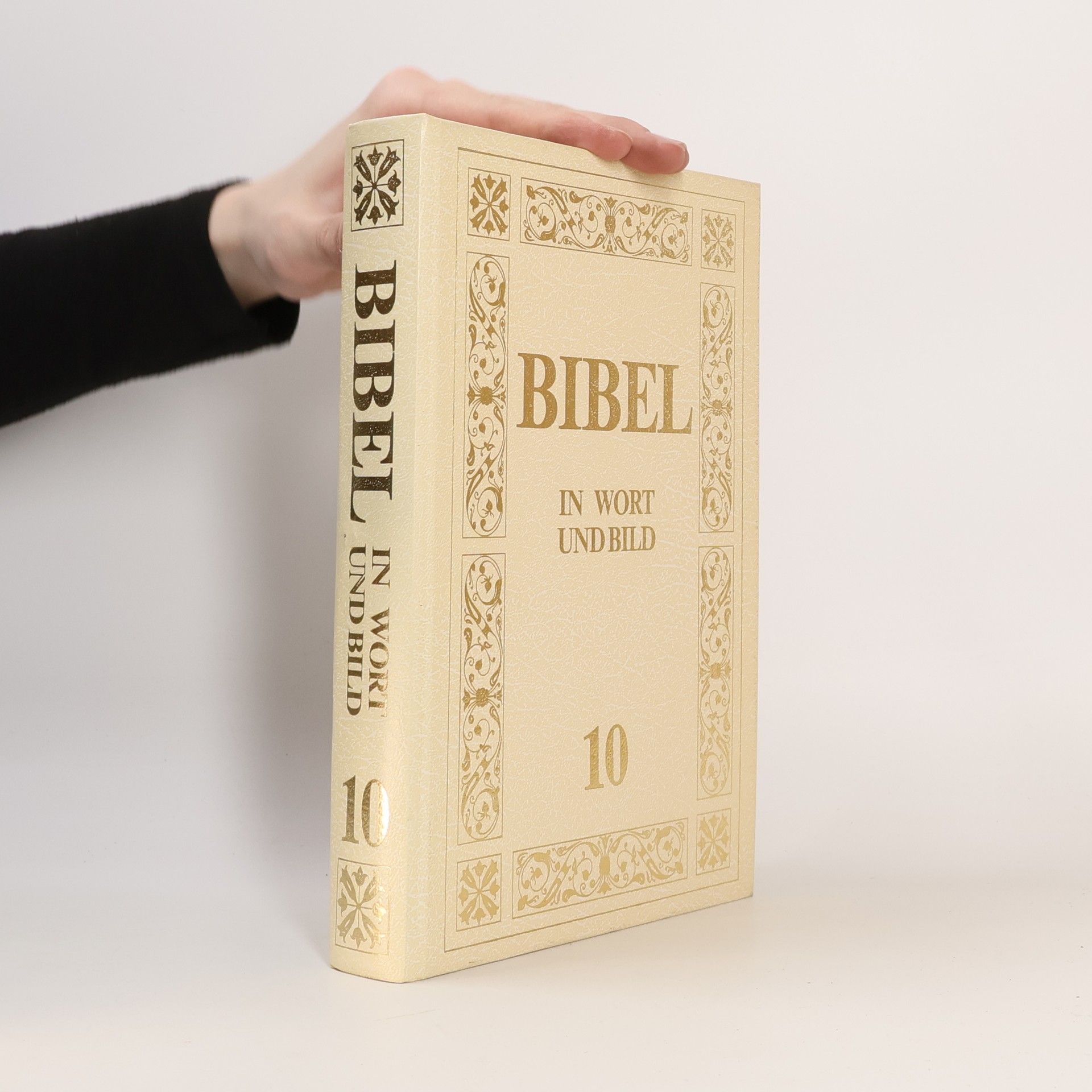 Kolektiv autorů Bibel in Wort und Bild 10