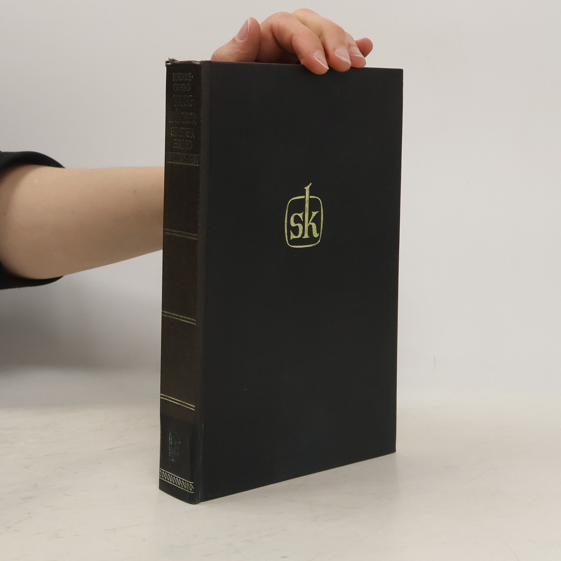 Søren Kierkegaard Die Tagebücher 1