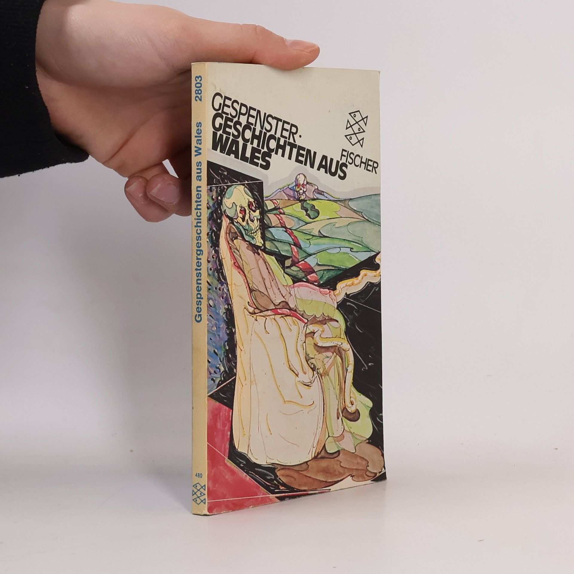 Robert Chetwynd- Hayes Gespenstergeschichten aus Wales.