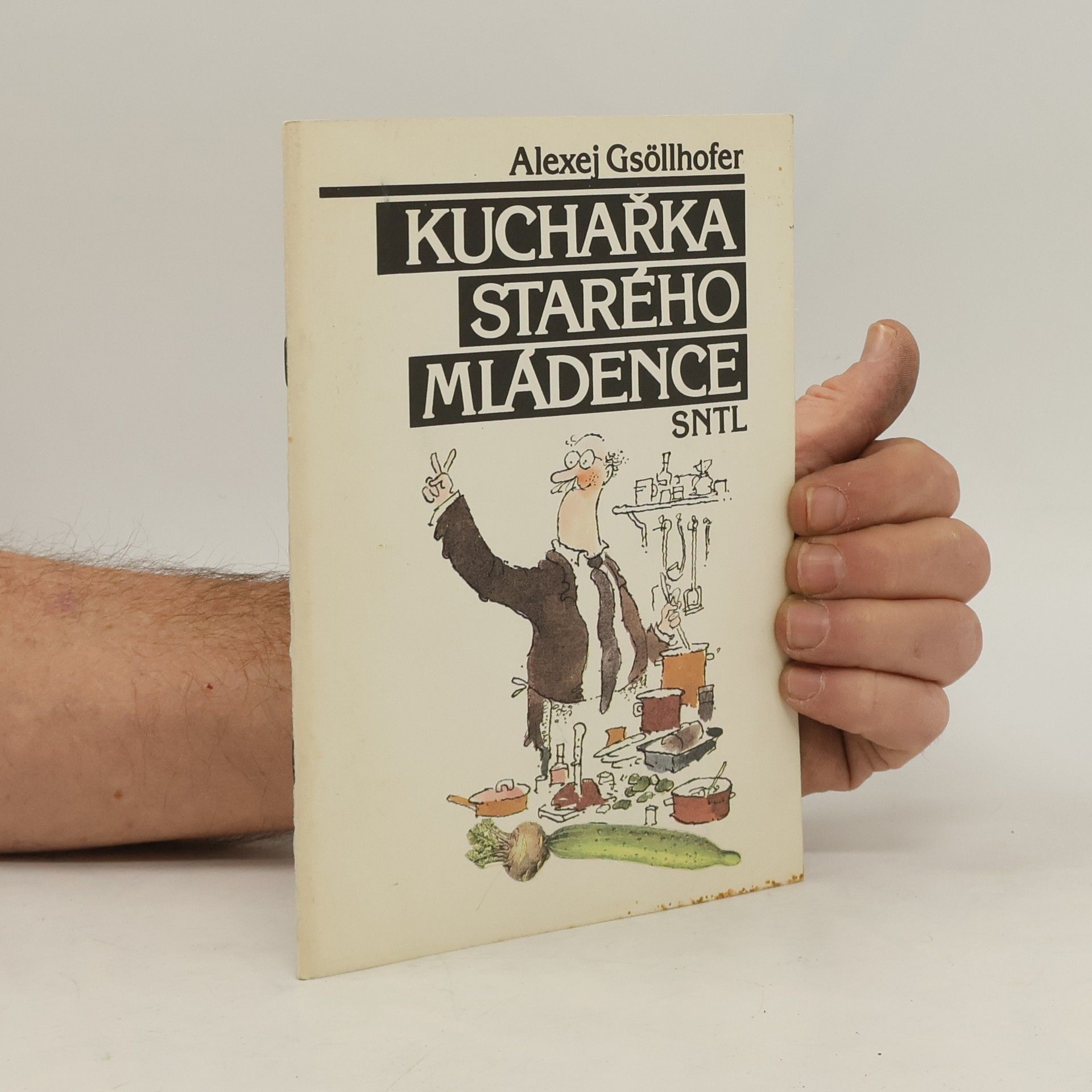 Vladimír Renčín Kuchařka starého mládence