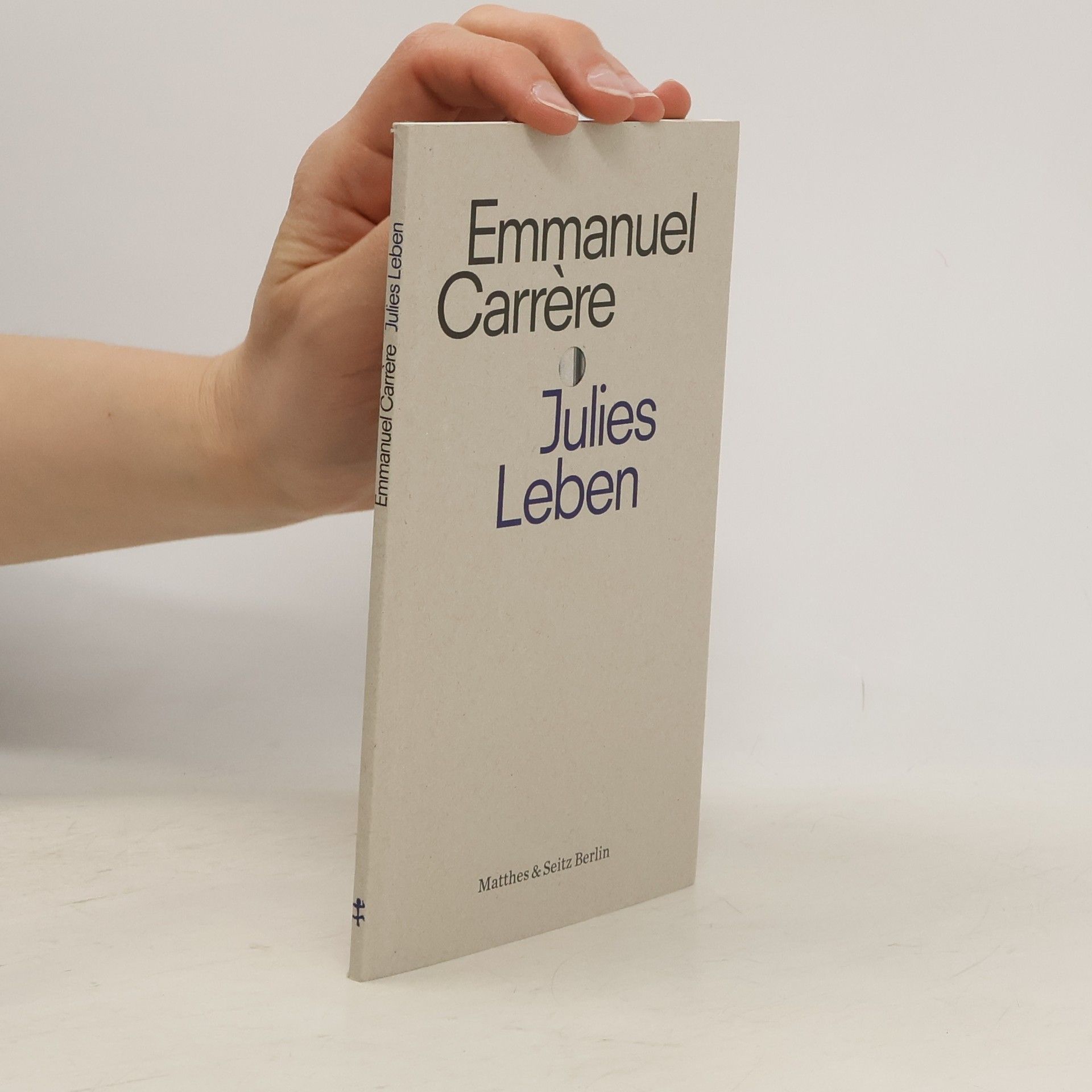 Emmanuel Carrére Julies Leben