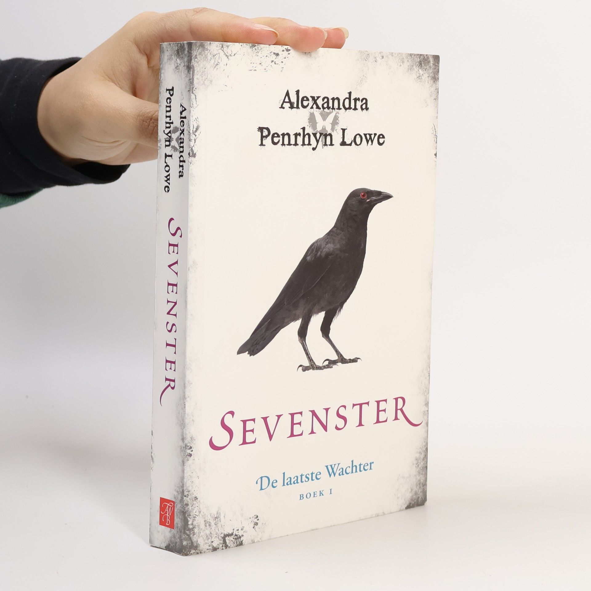 De laatste Wachter - 1: Sevenster