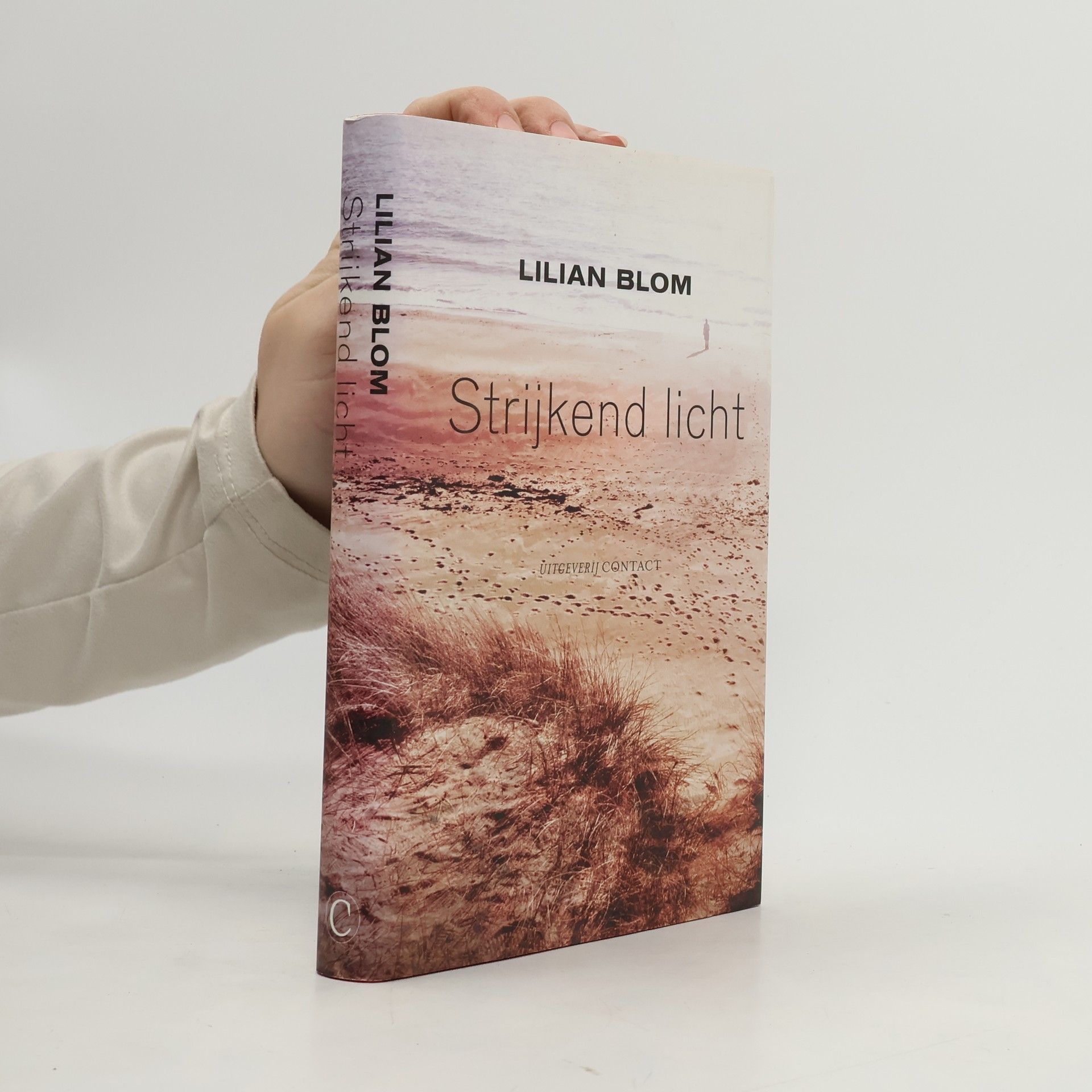 Lilian Blom Strijkend licht