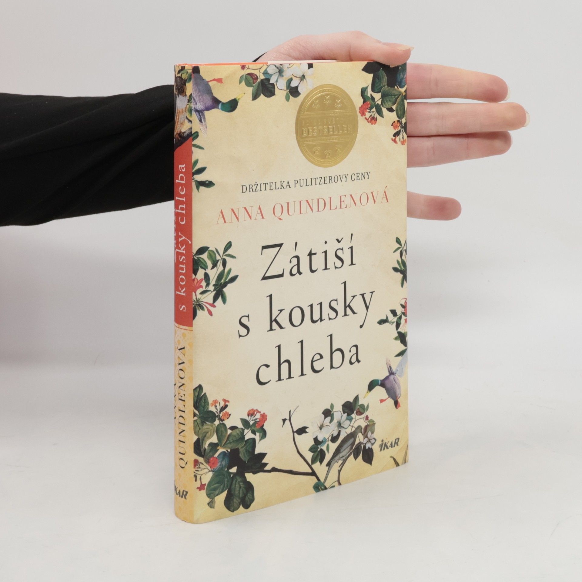 Anna Quindlen Zátiší s kousky chleba