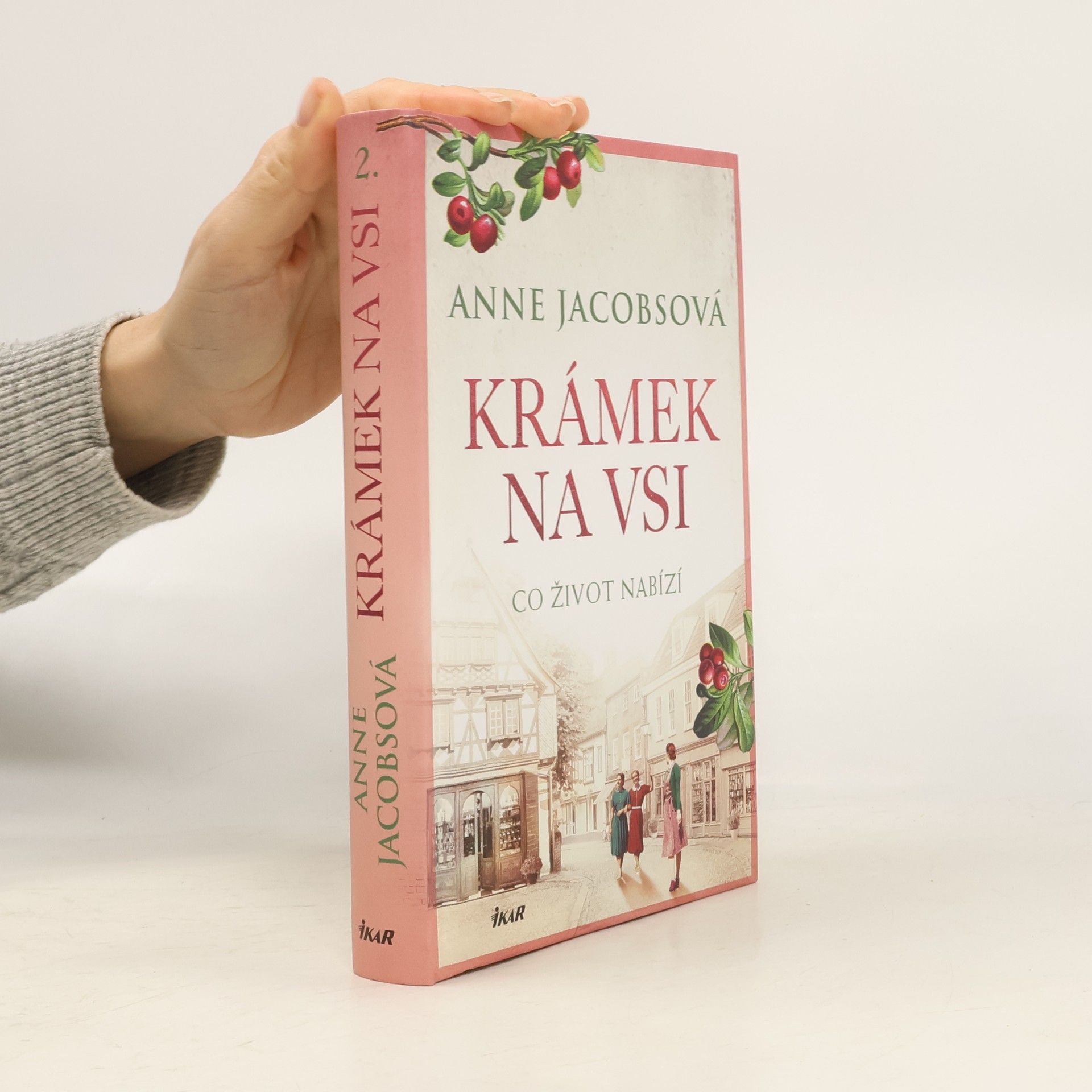 Anne Jacobs Krámek na vsi