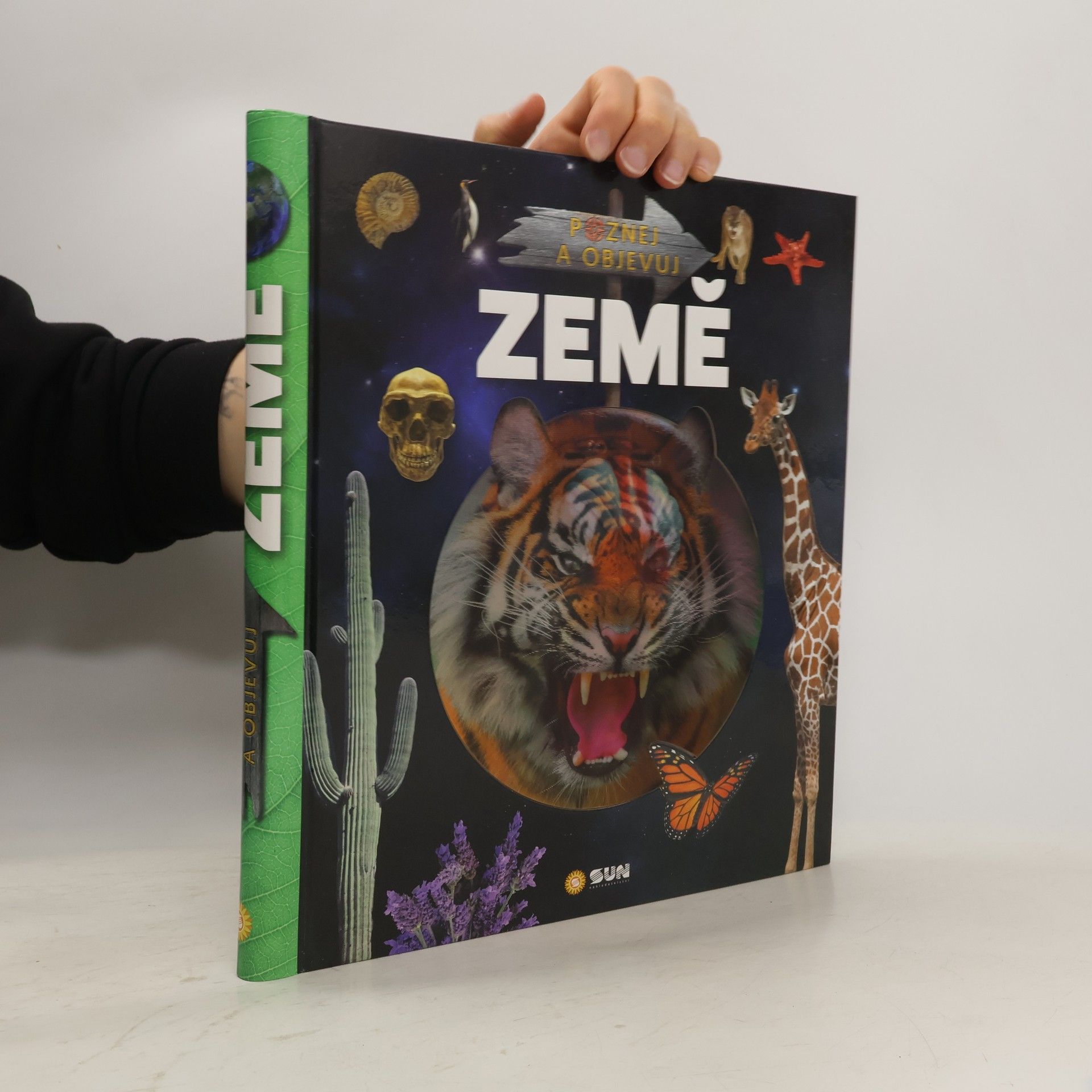 Montoro Bayón Montoro Země