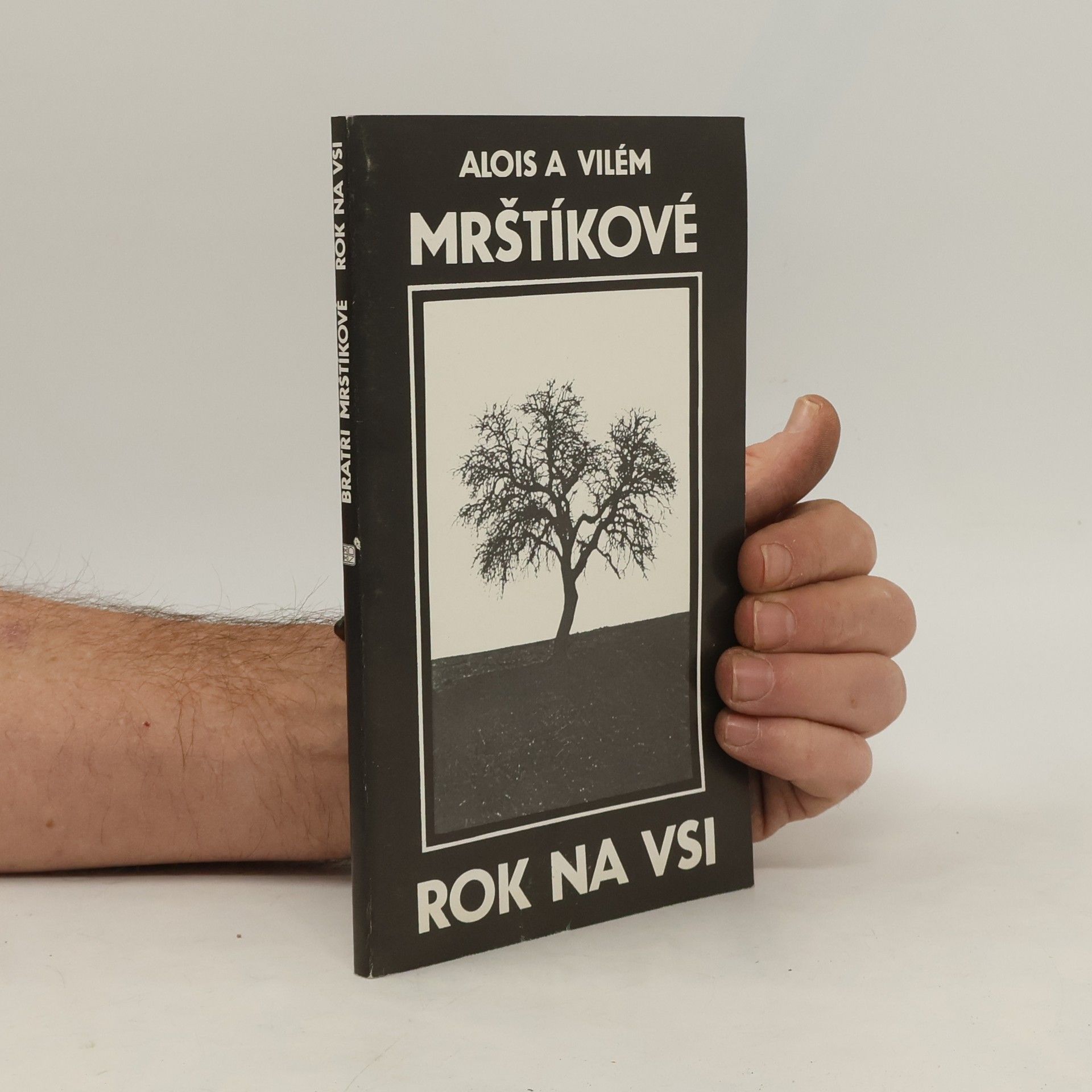 Alois Mrštík Rok na vsi