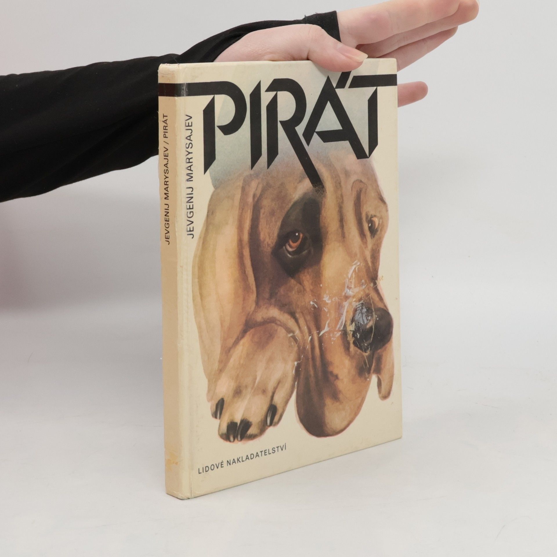 Jevgenij Marysajev Pirát