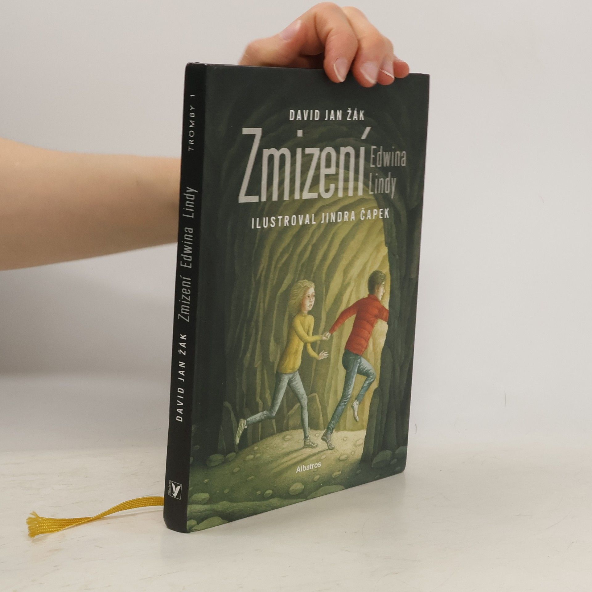 Zmizení Edwina Lindy