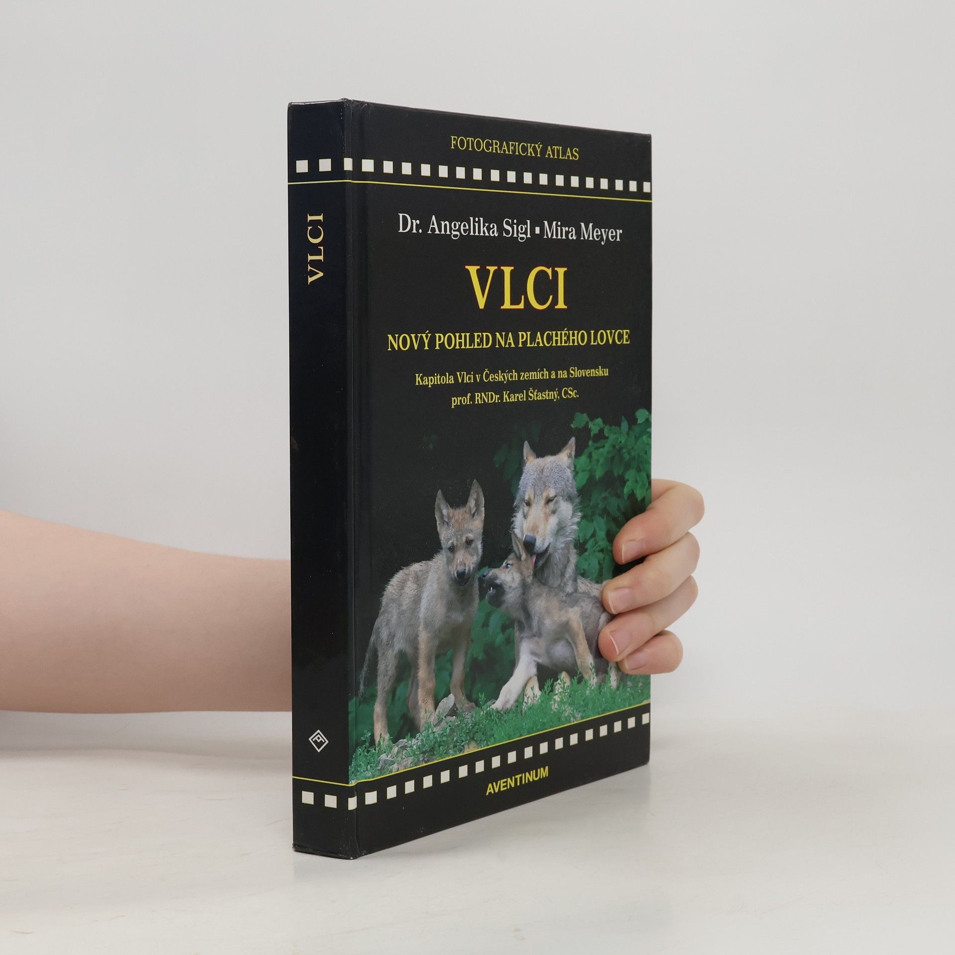 Angelika Sigl Vlci. Nový pohled na plachého lovce