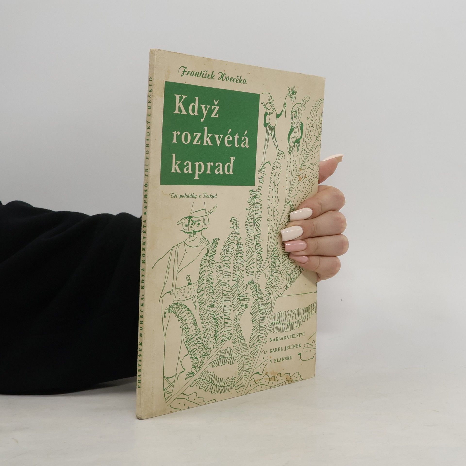 Když rozkvétá kapraď