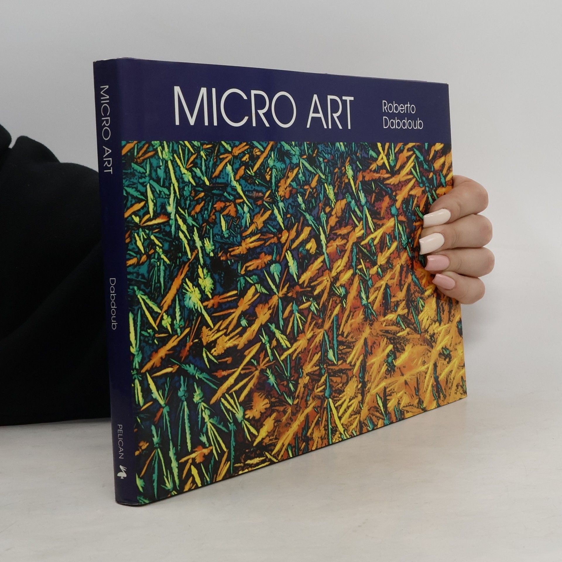 Roberto Dabdoub Micro Art