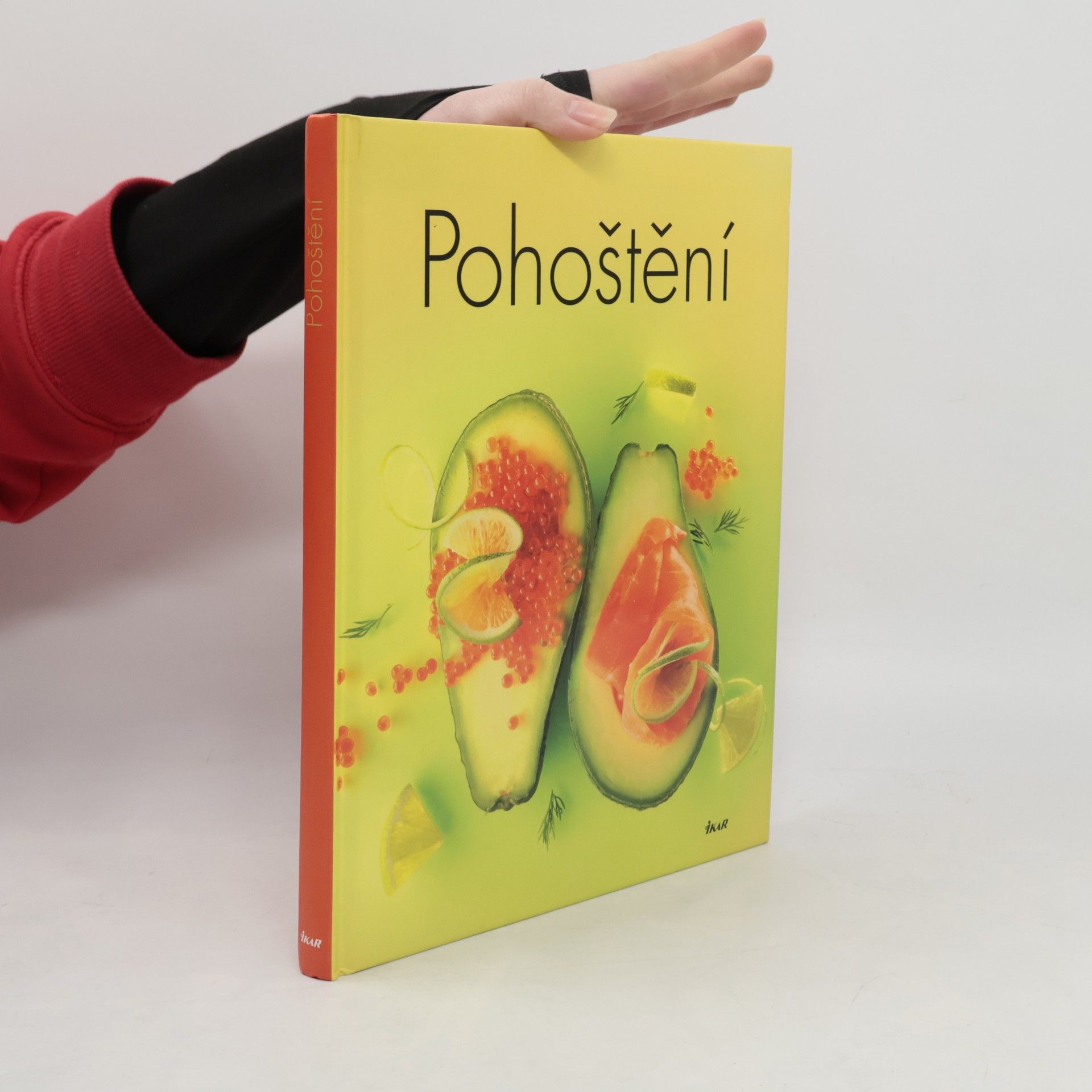 Kolektiv autorů Pohoštění