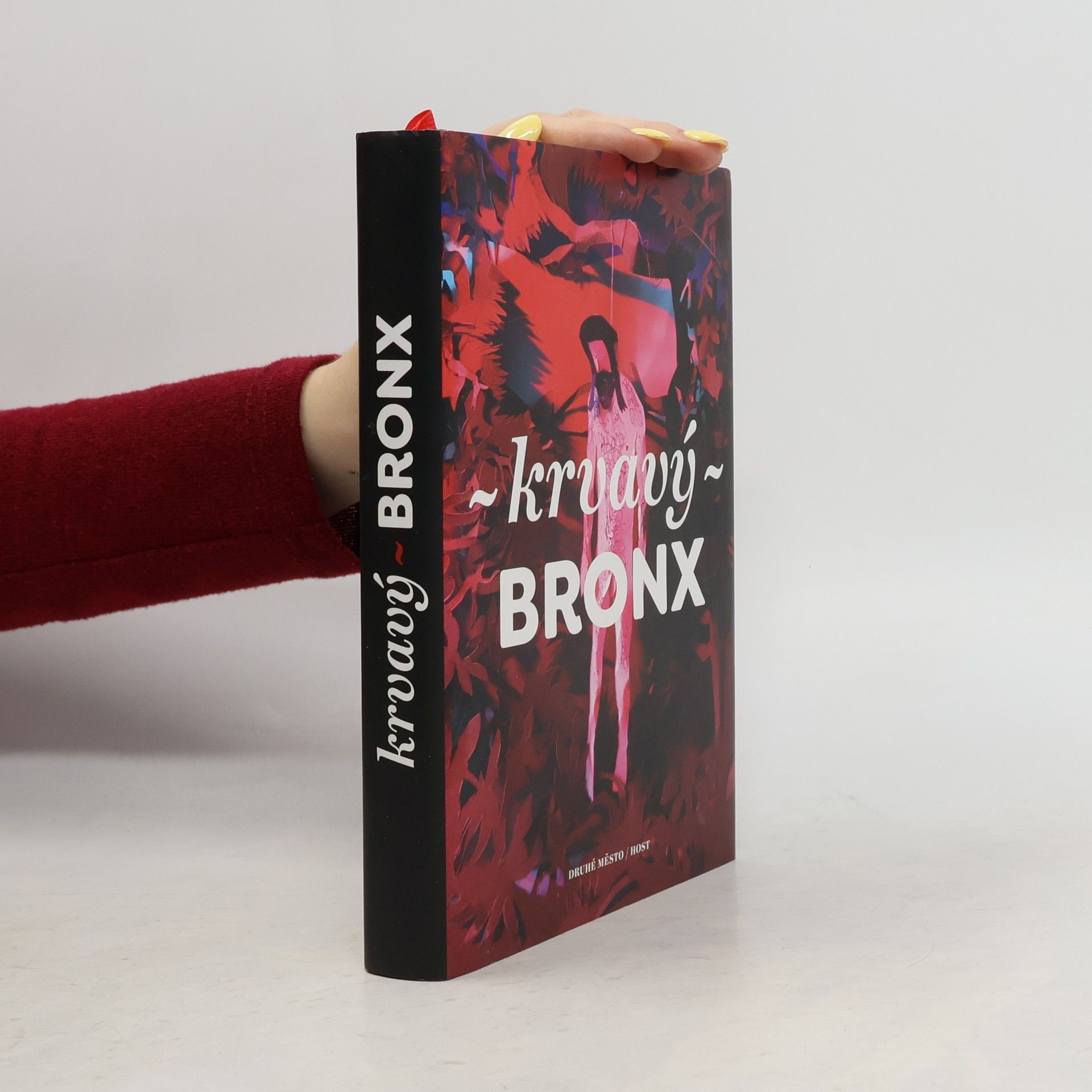 Kolektiv autorů Krvavý Bronx