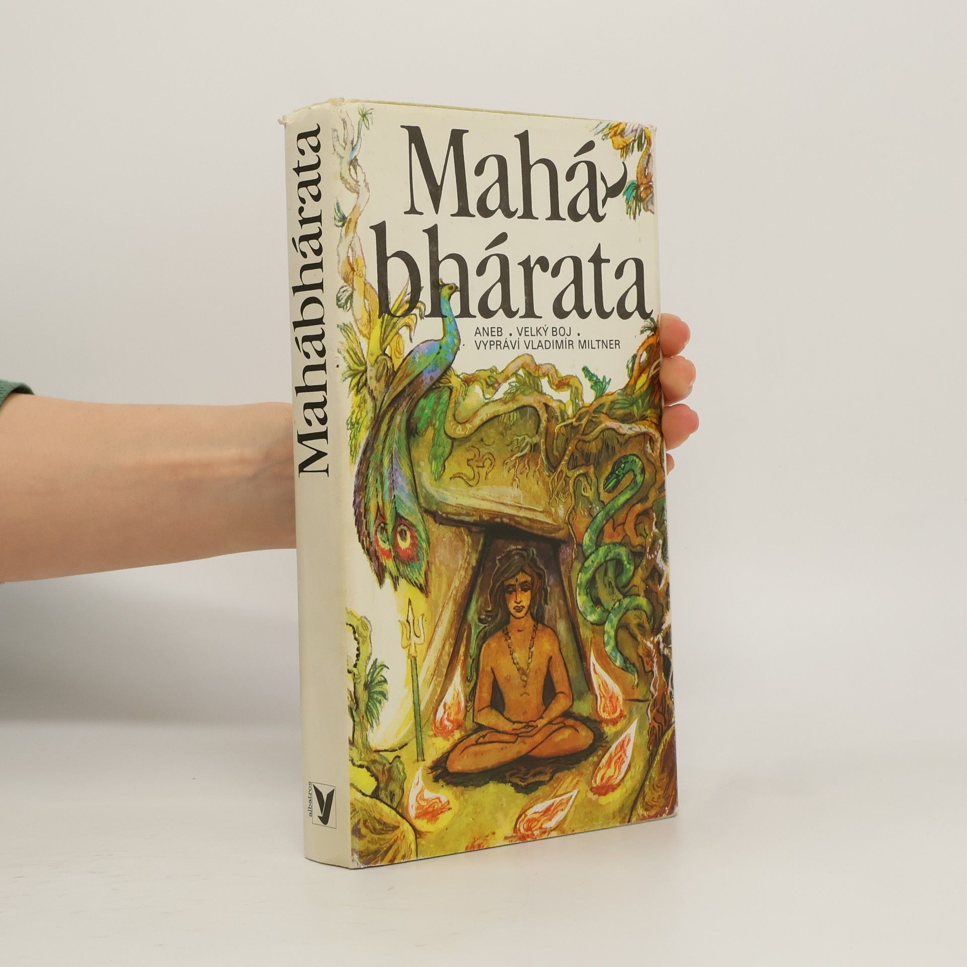 Jaromír Skřivánek Mahábhárata aneb Velký boj