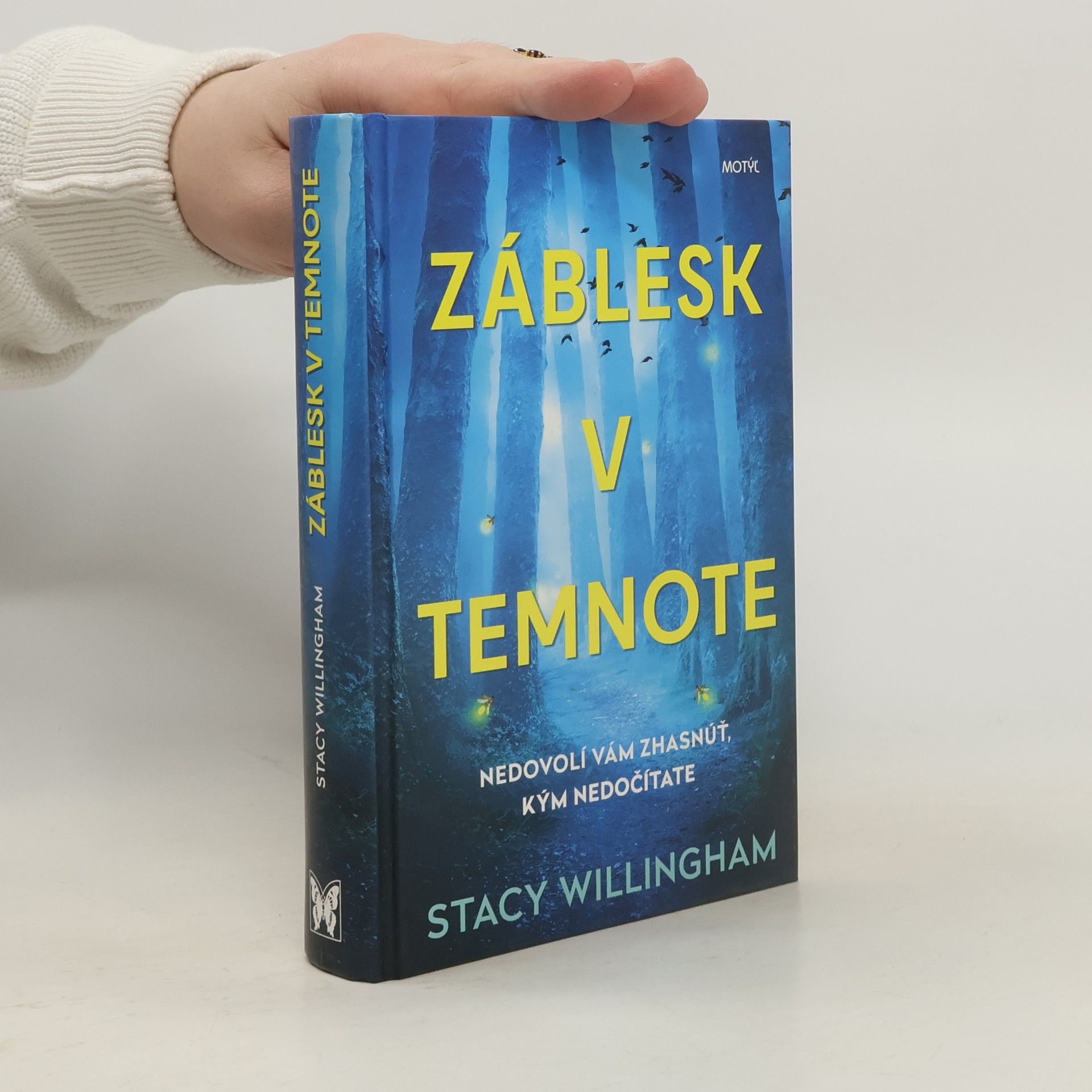 Stacy Willingham Záblesk v temnote