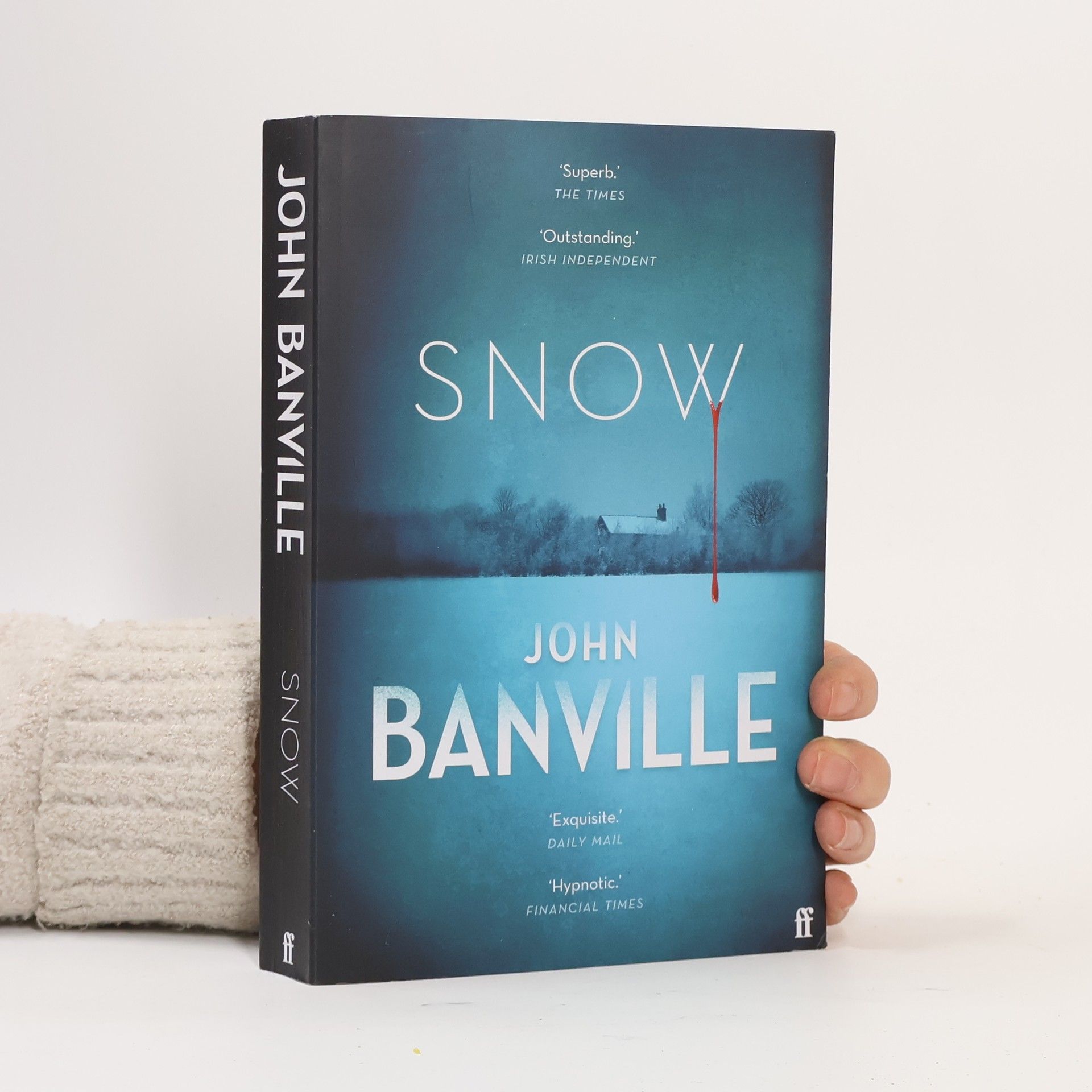 John Banville Snow