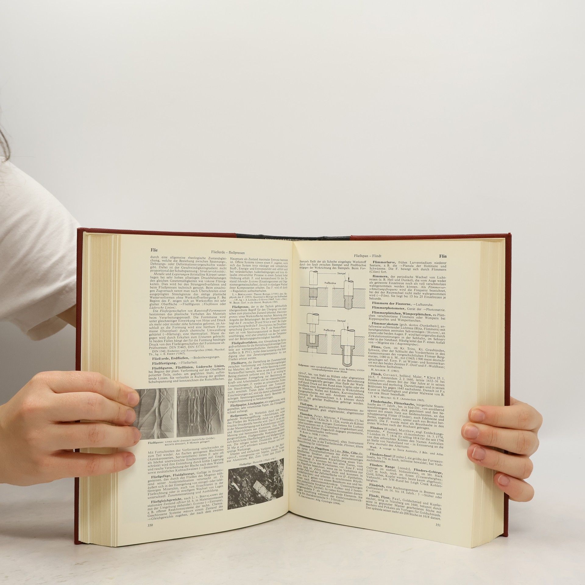 Autorenkollektiv Brockhaus Enzyklopädie 6. F-Geb
