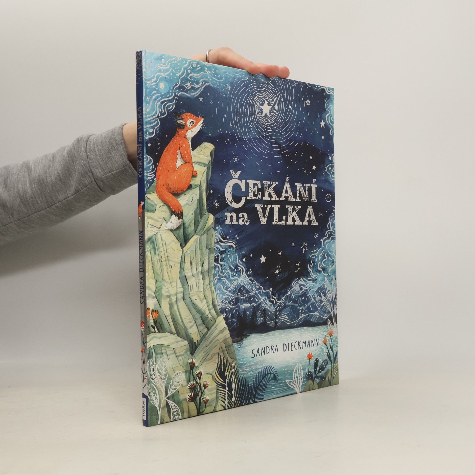 Sandra Dieckmann Čekání na Vlka