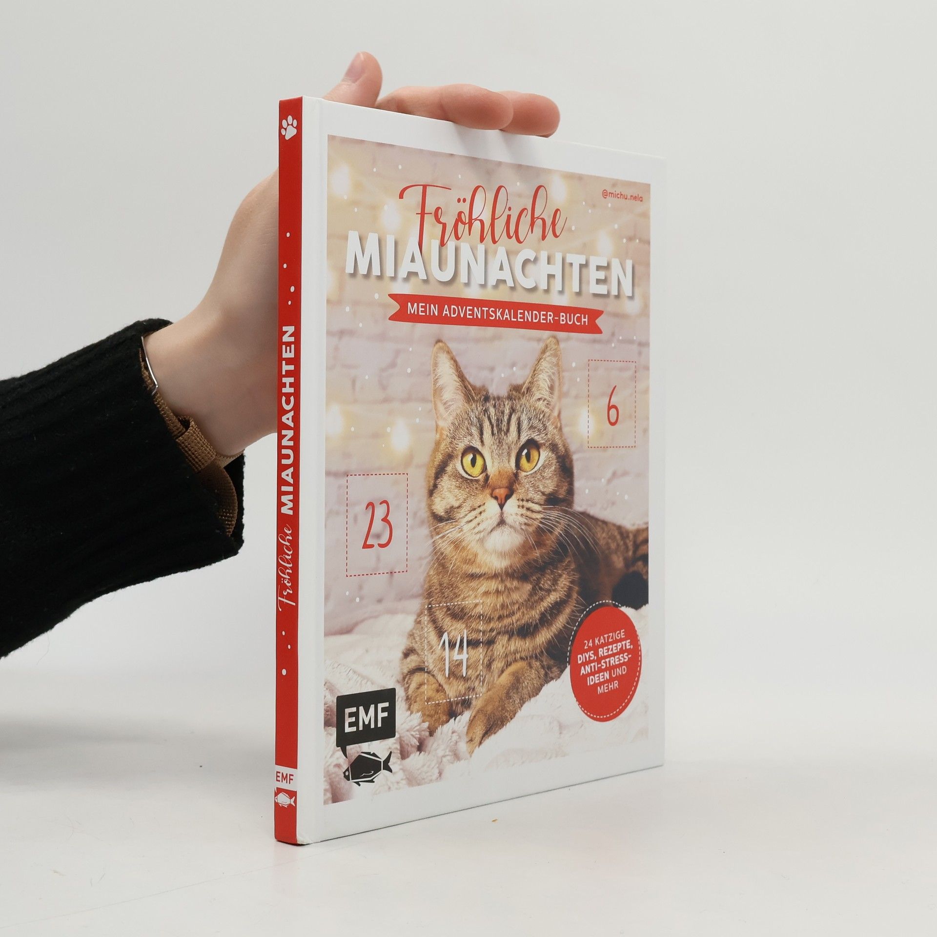 Jessica Lorente Mein Adventskalender-Buch: Fröhliche Miaunachten