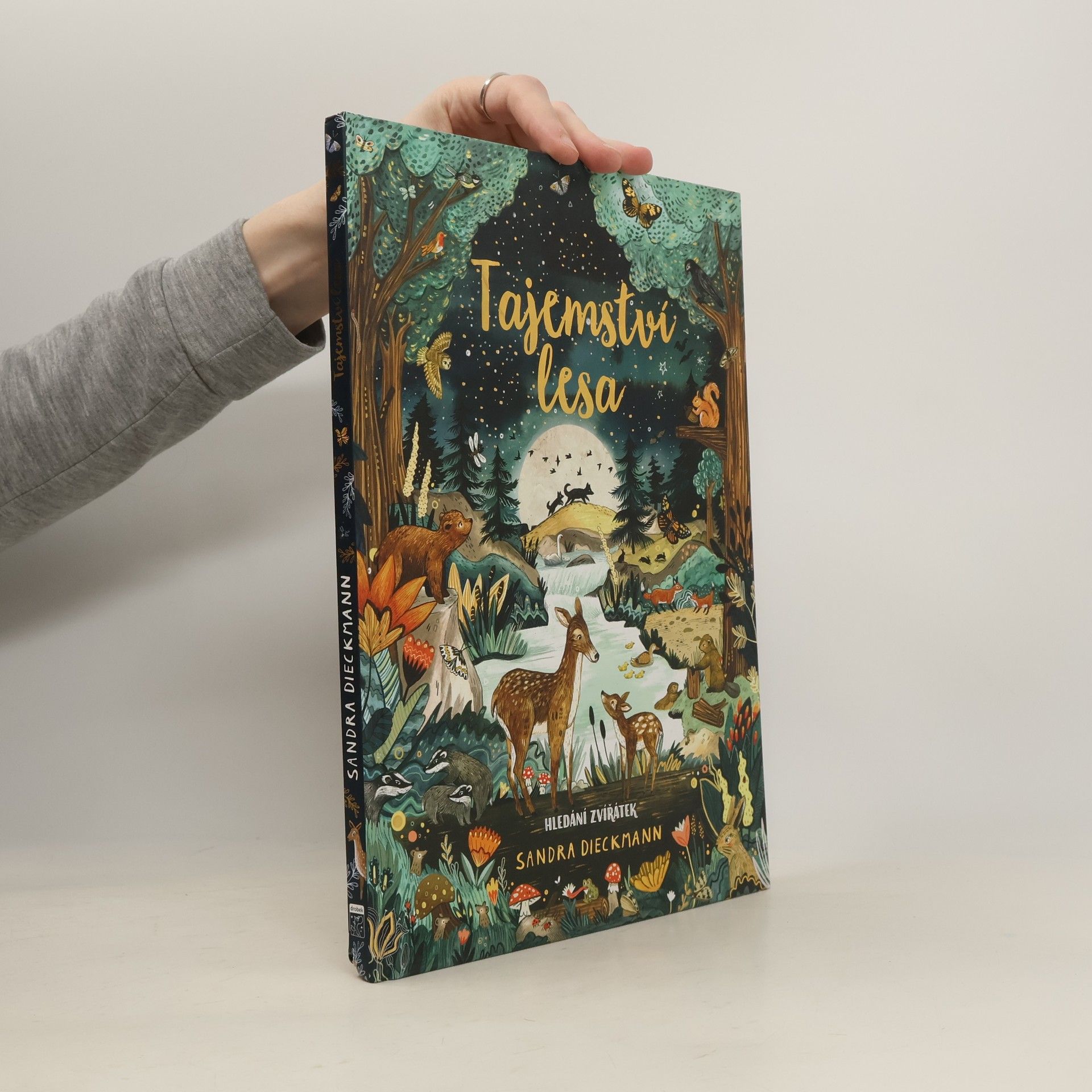 Sandra Dieckmann Tajemství lesa. Hledání zvířátek