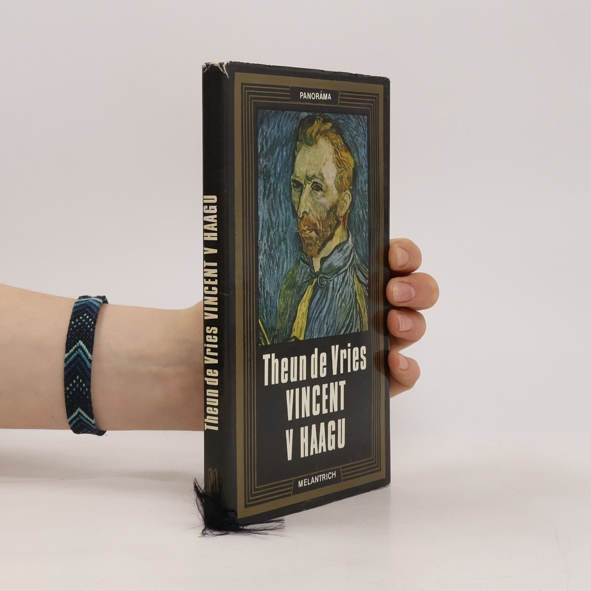 Theun de Vries Vincent v Haagu