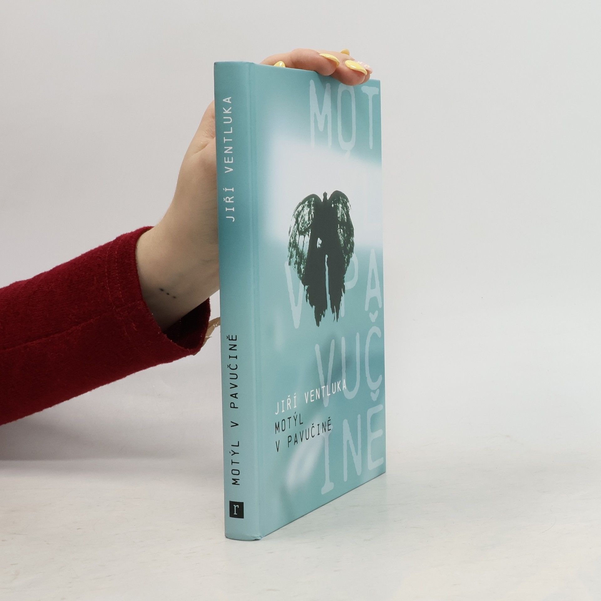 Jiří Ventluka Motýl v pavučině