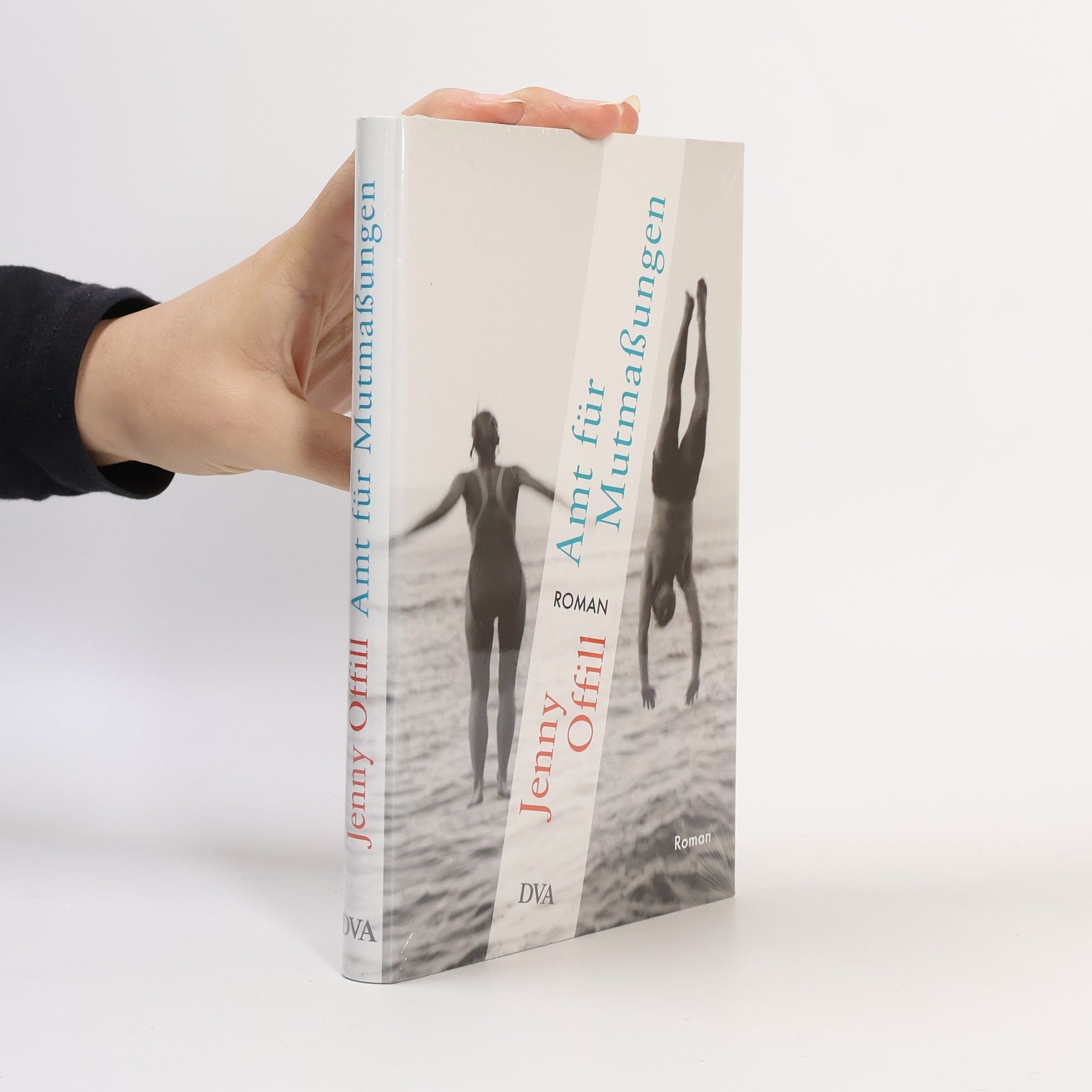 Jenny Offill Amt für Mutmaßungen