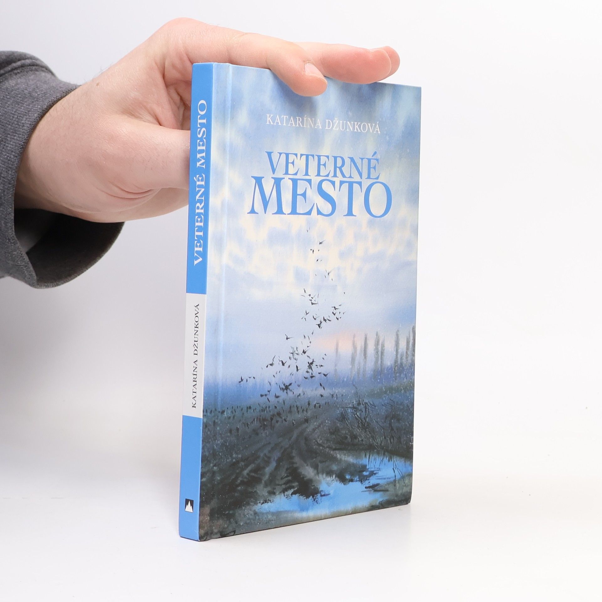 Katarína Džunková Veterné mesto