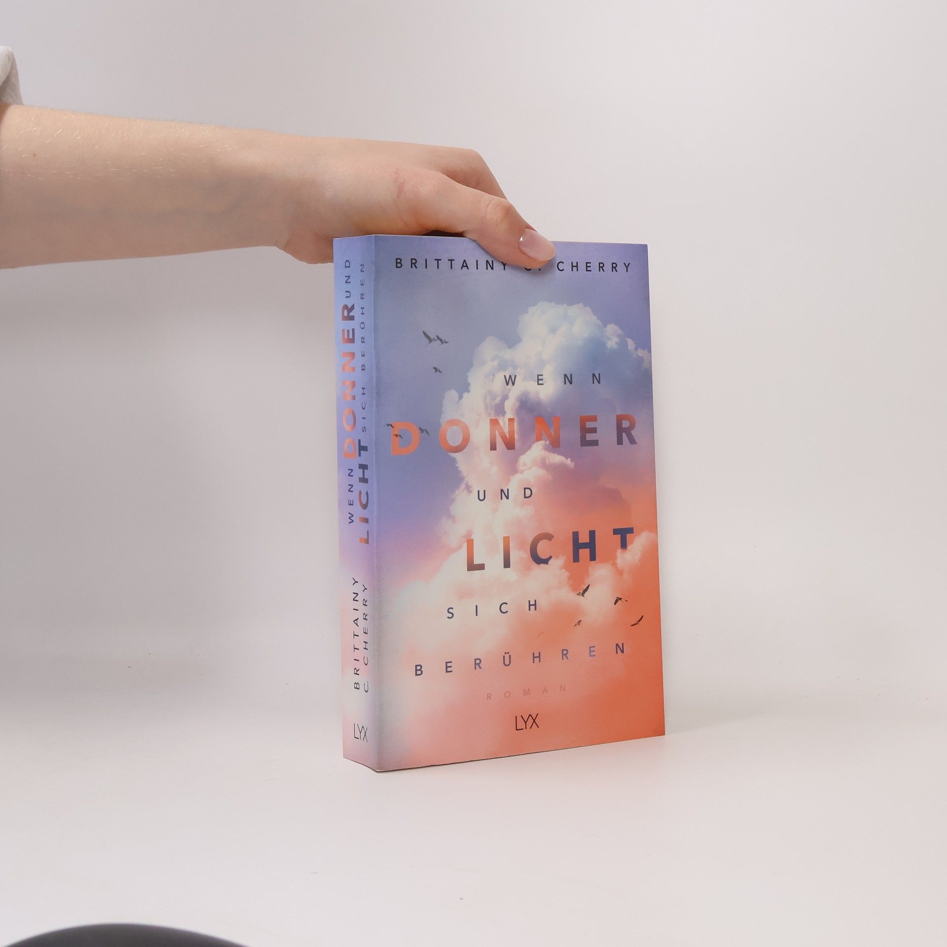 Brittainy C. Cherry Wenn Donner und Licht sich berühren