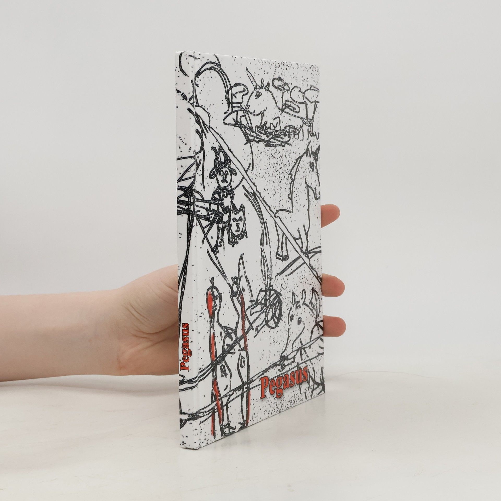 Kolektiv autorů Pegasus