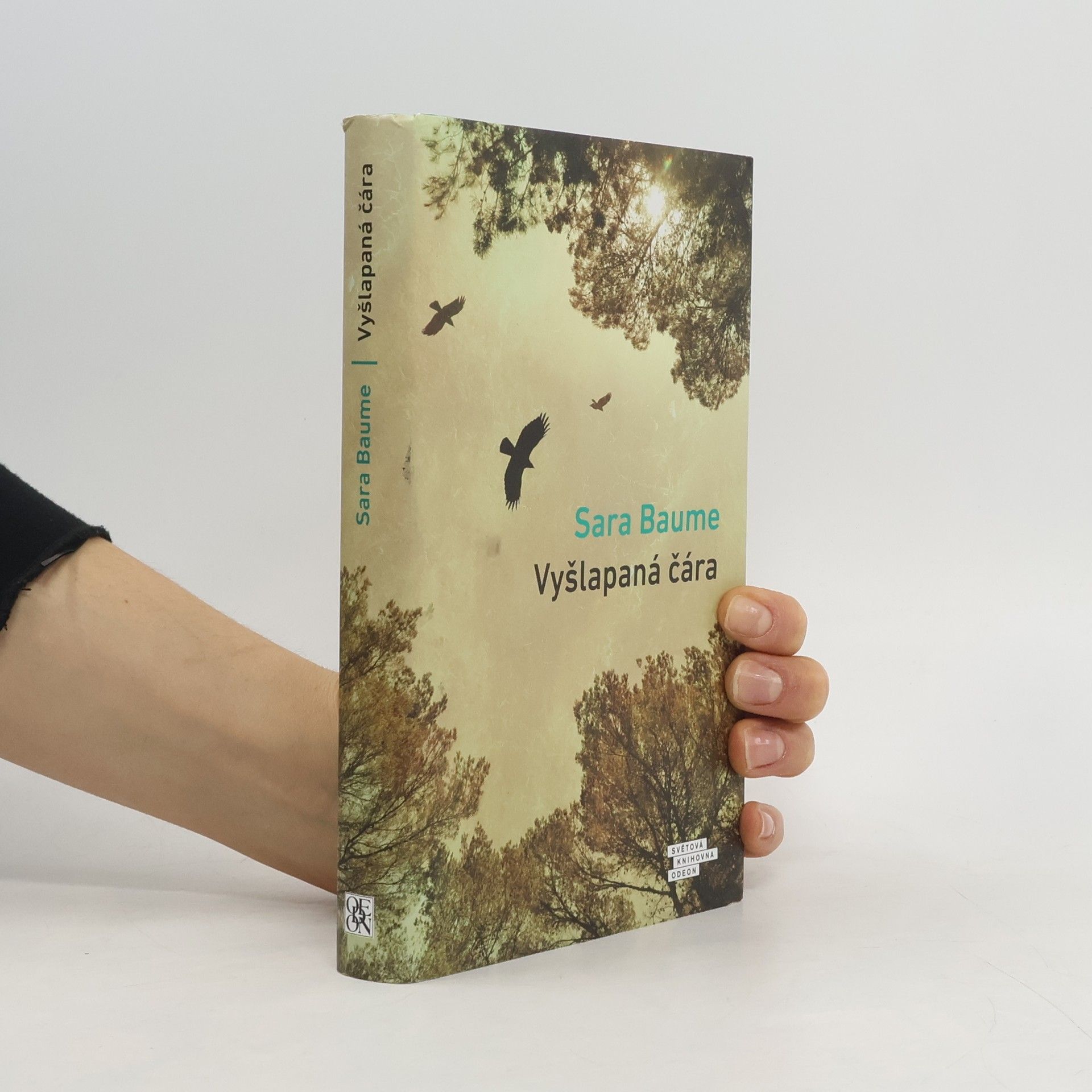 Sara Baume Vyšlapaná čára