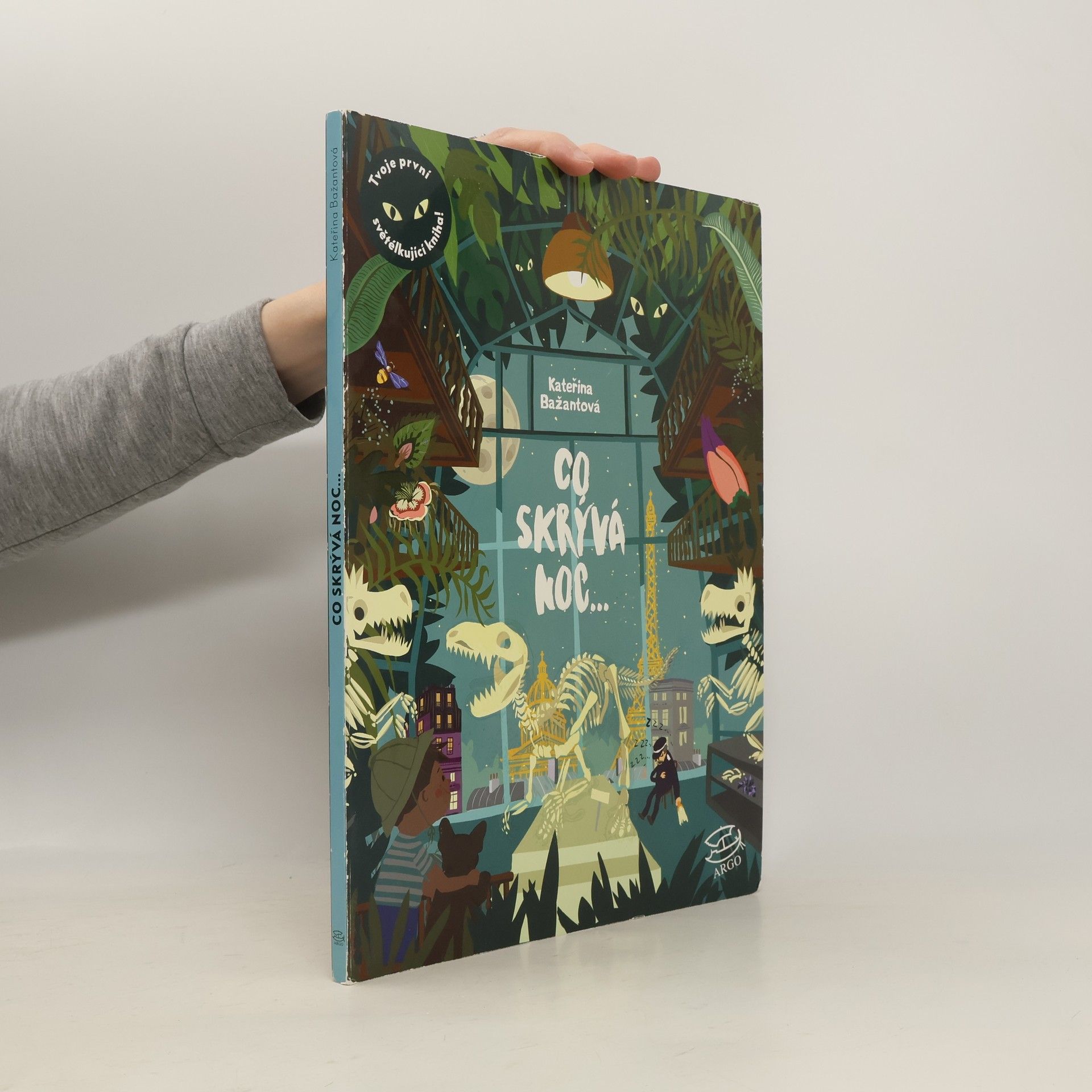 Kateřina Bažantová Boudriot Co skrývá noc