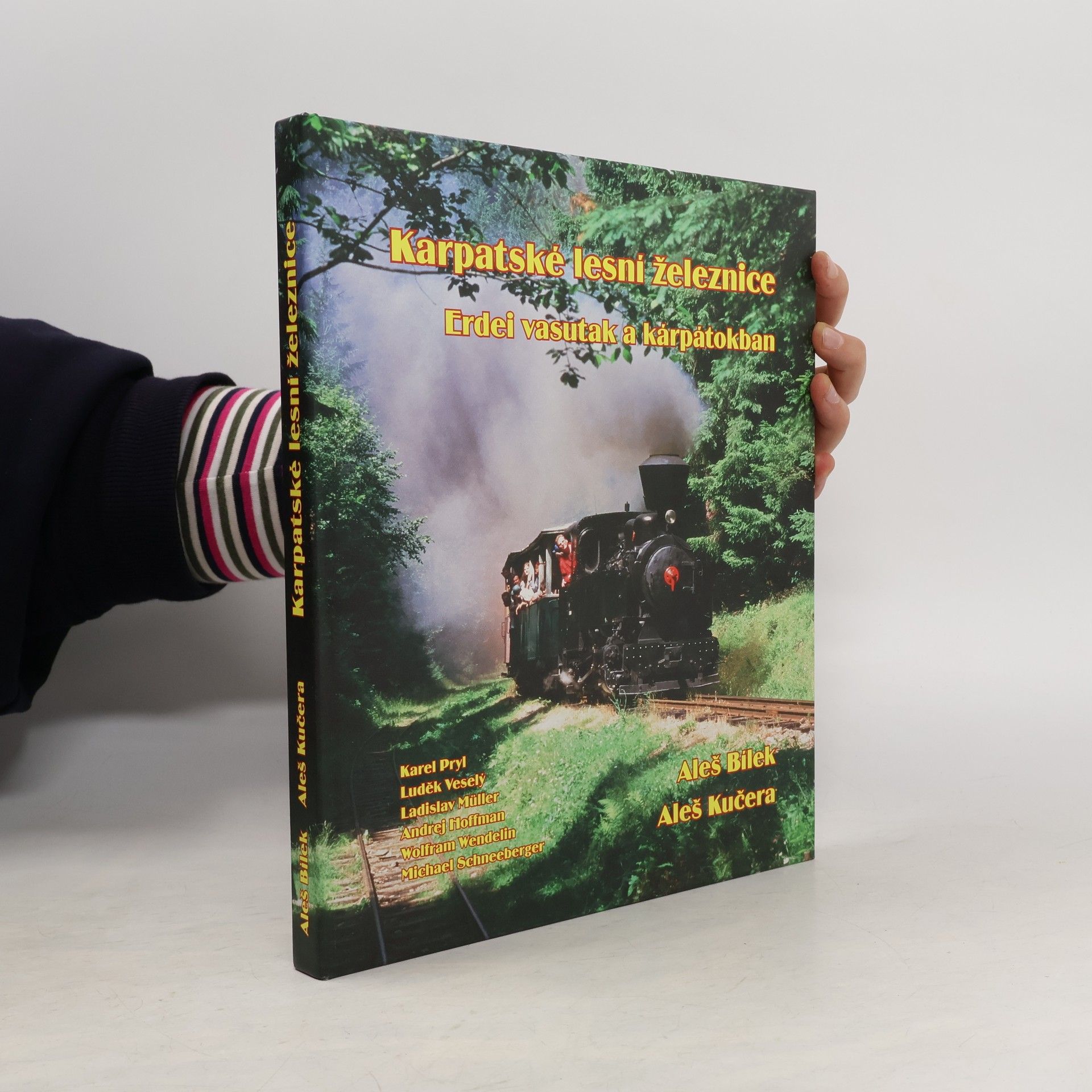 Karpatské lesní železnice