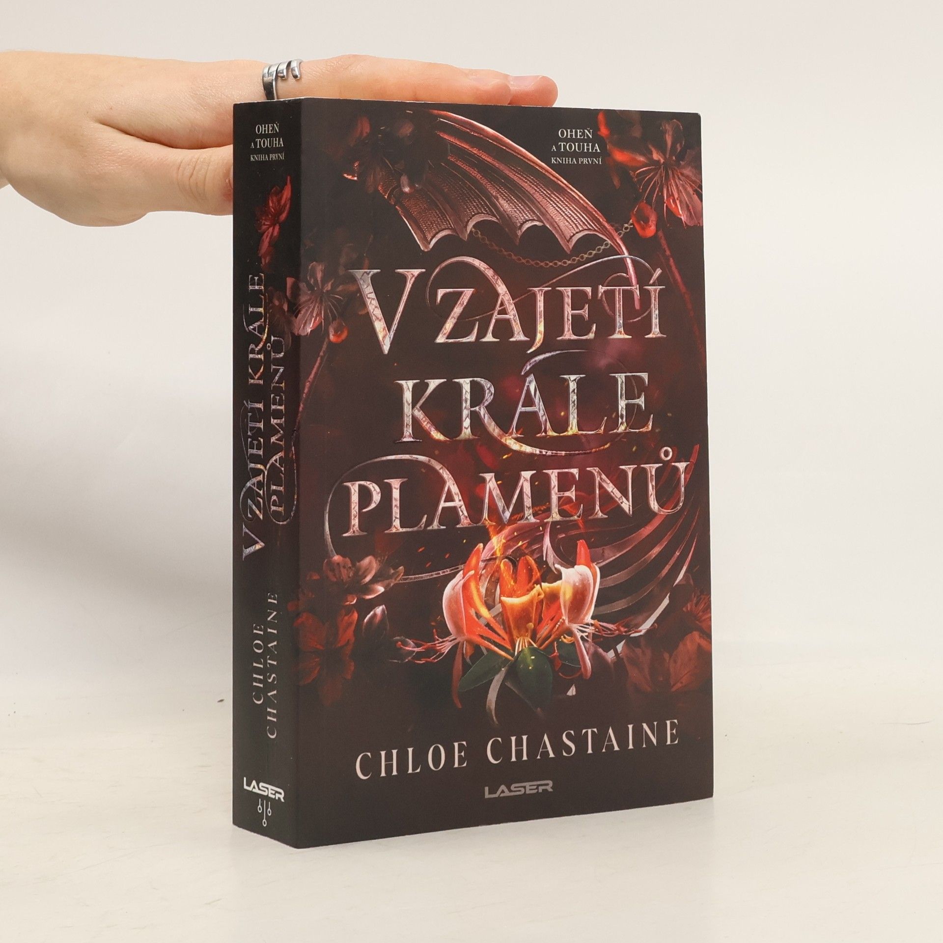 Chloe Chastaine V zajetí krále plamenů