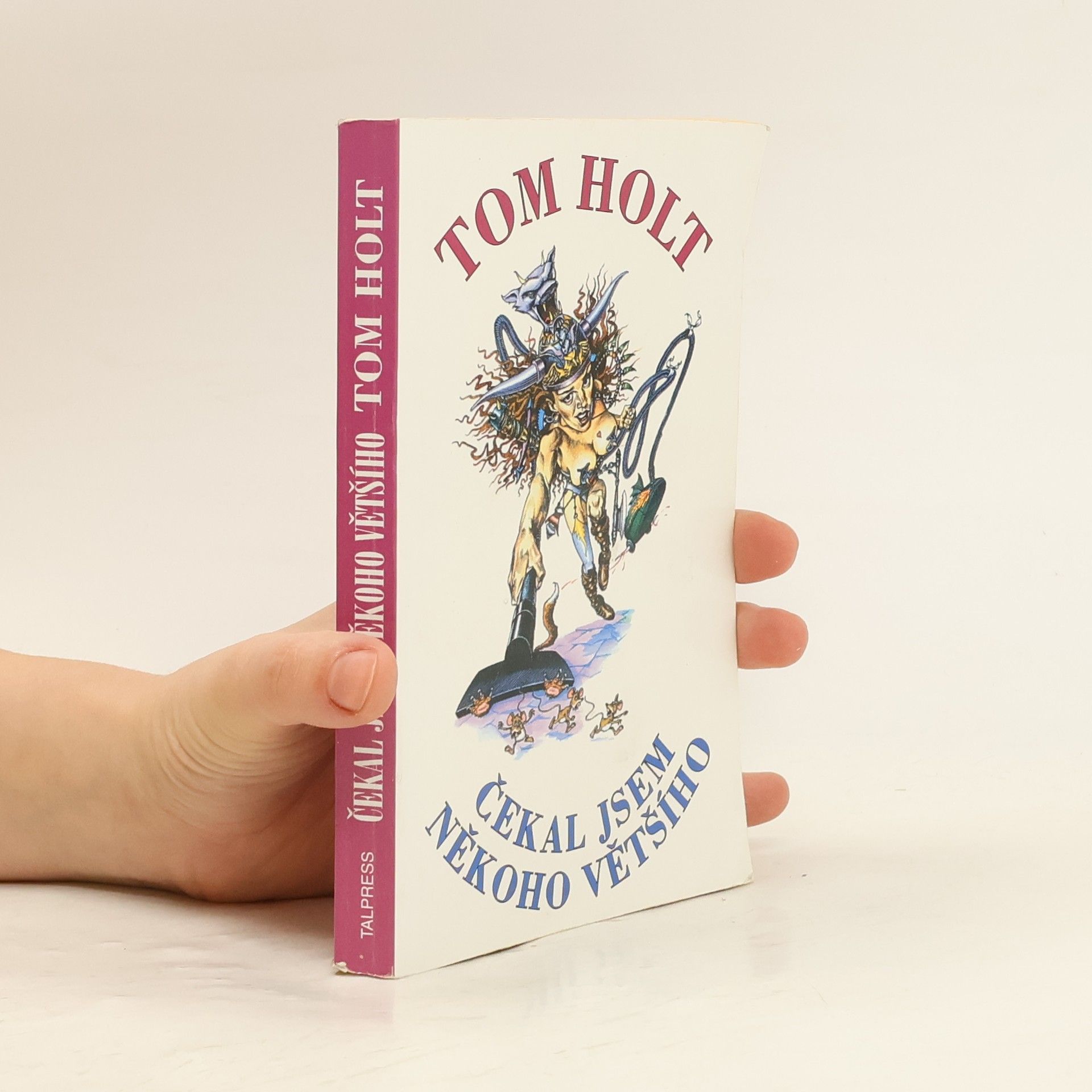 Tom Holt Čekal jsem někoho vyššího