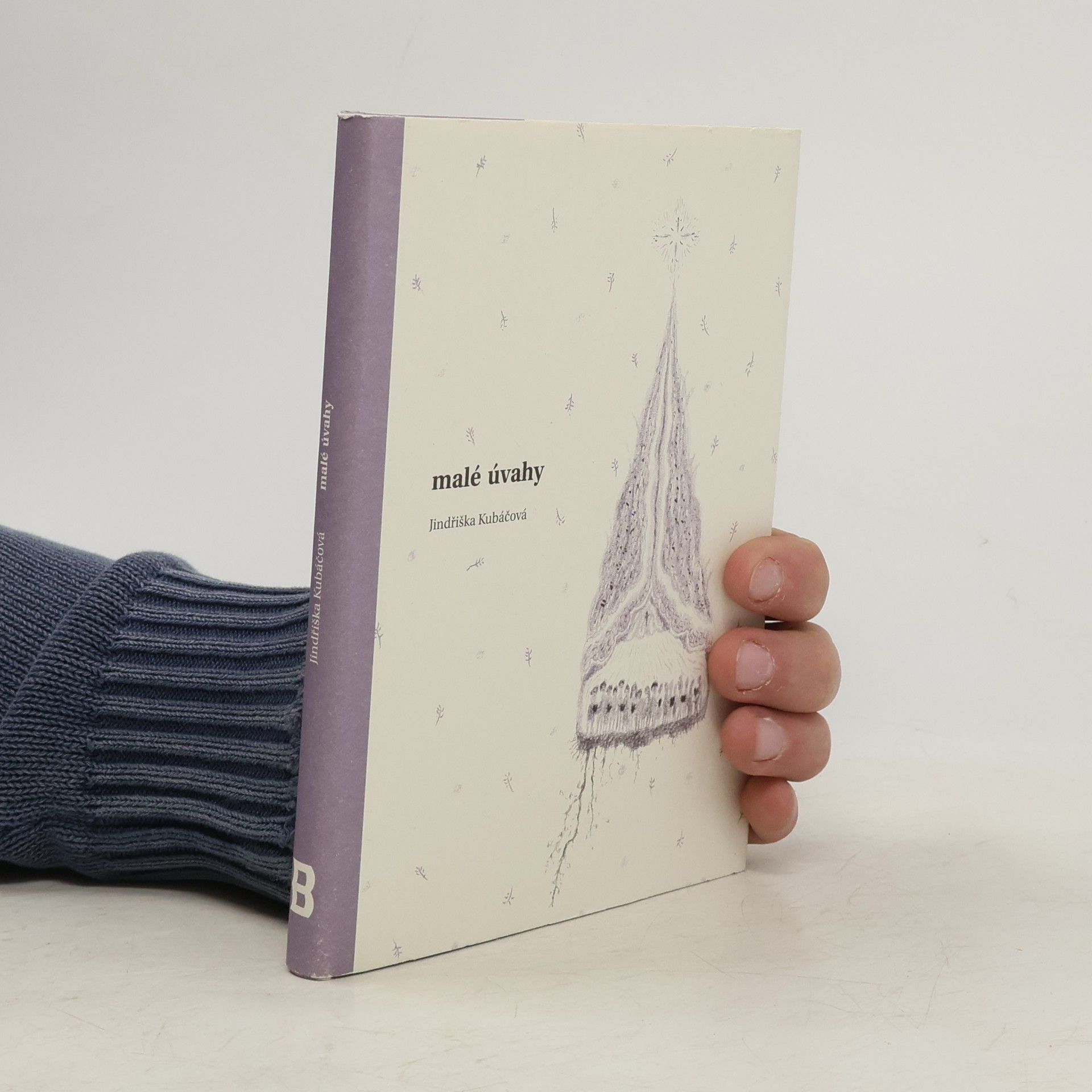 Jindřiška Kubáčová Malé úvahy