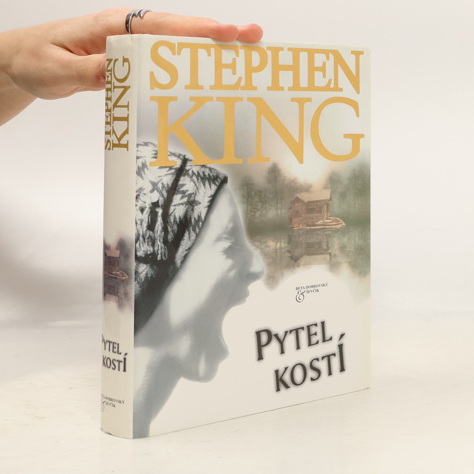 Stephen King Pytel kostí