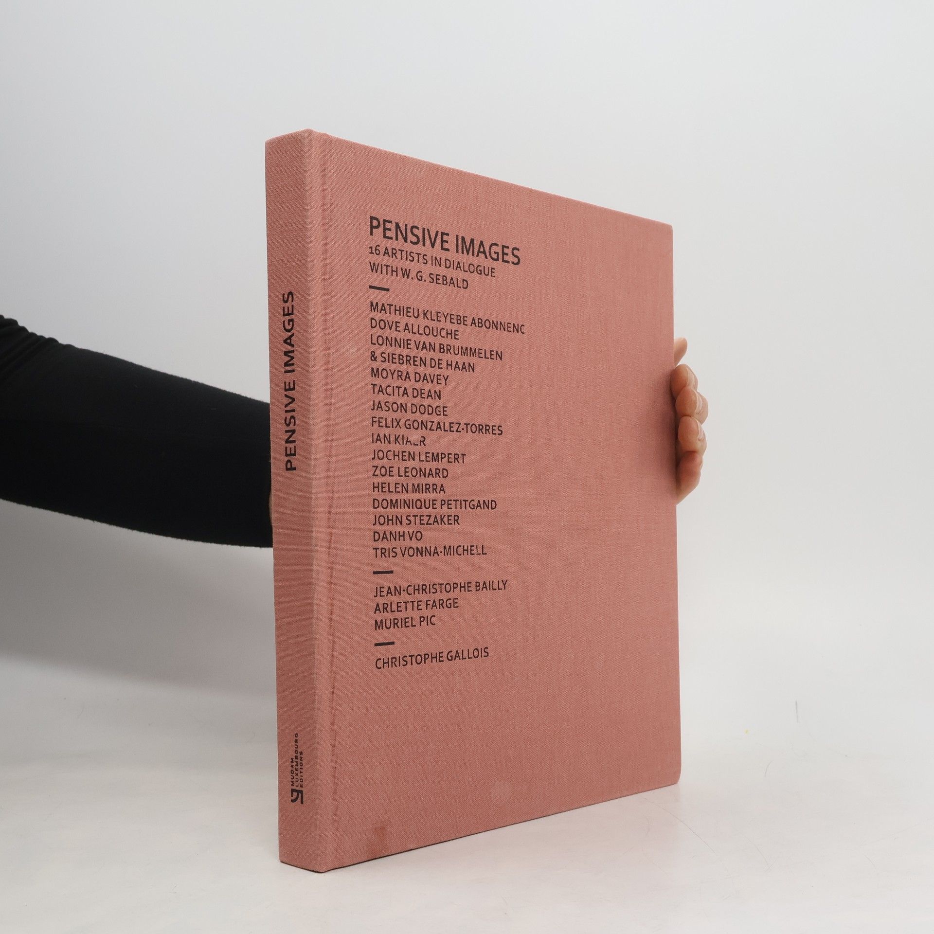 W. G. Sebald Pensive images