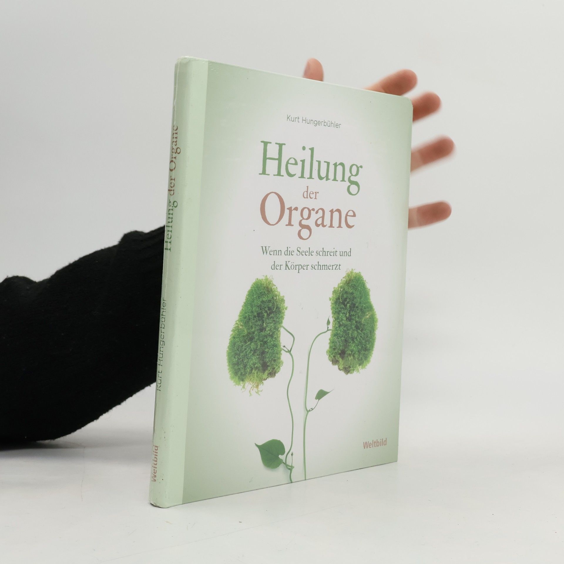 Kurt Hungerbühler Heilung der Organe