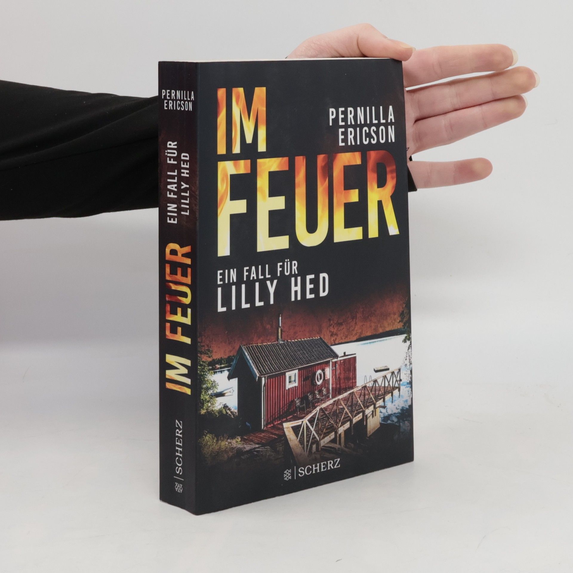 Pernilla Ericson Im Feuer