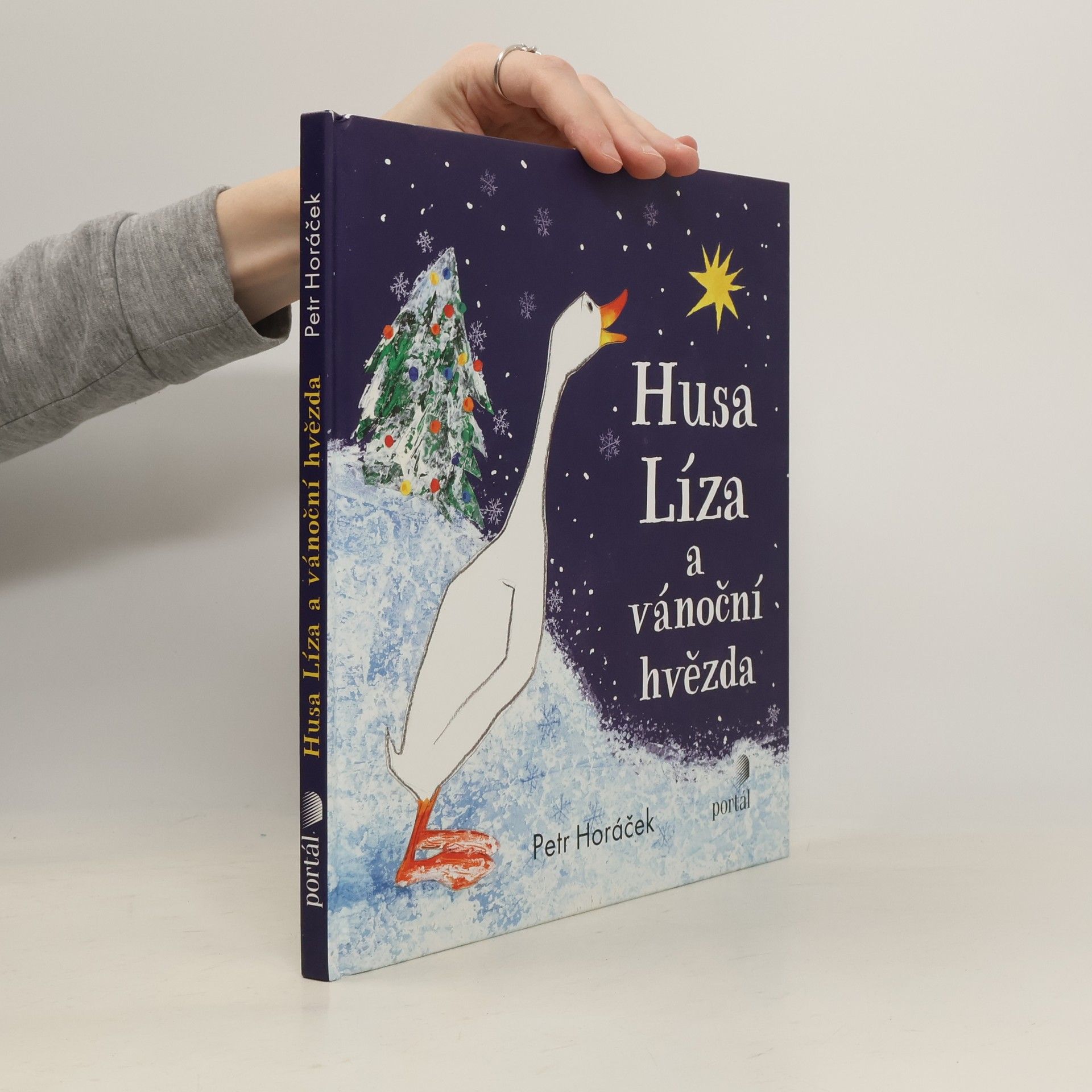 Horacek Petr Husa Líza a vánoční hvězda