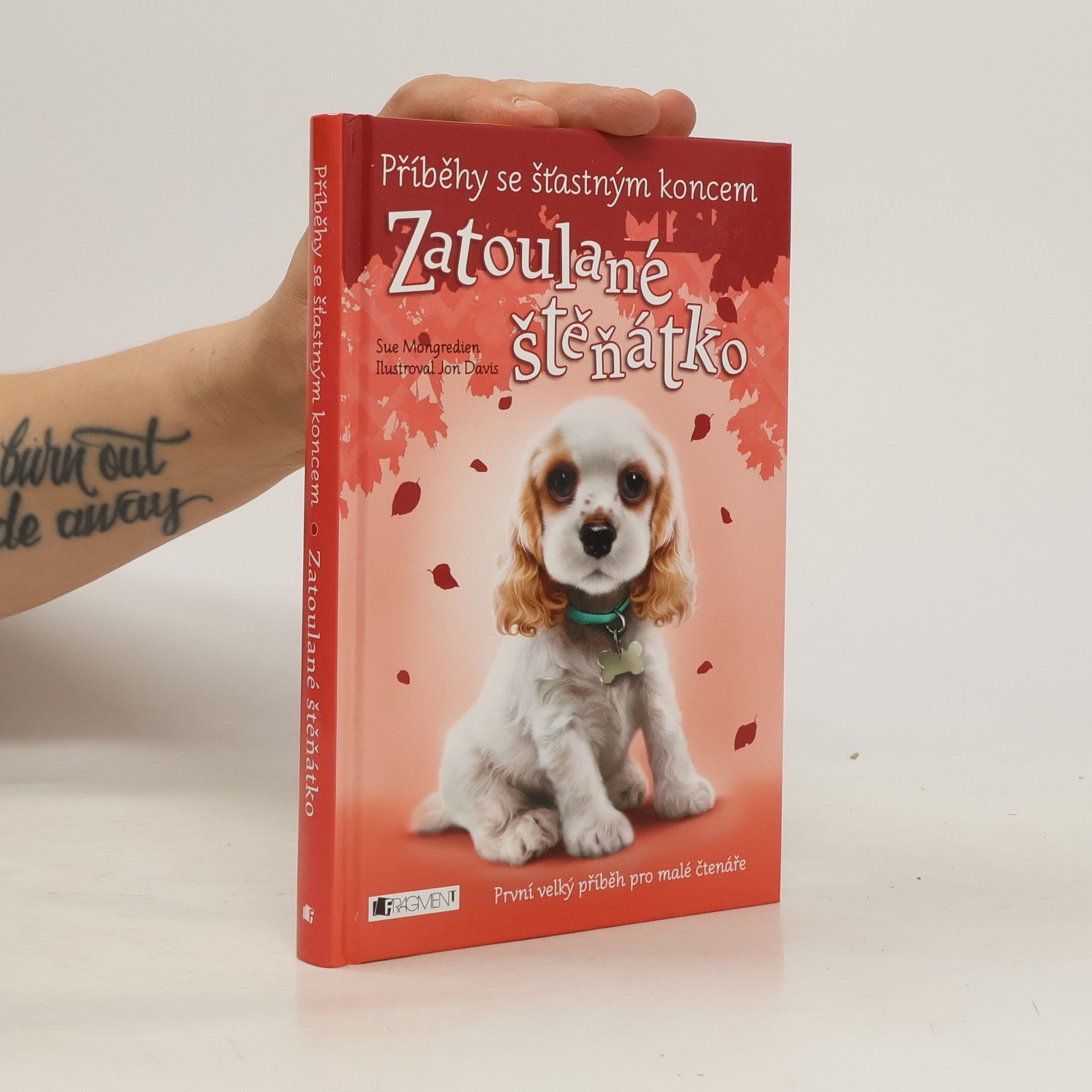 Lucy Diamond Zatoulané štěňátko