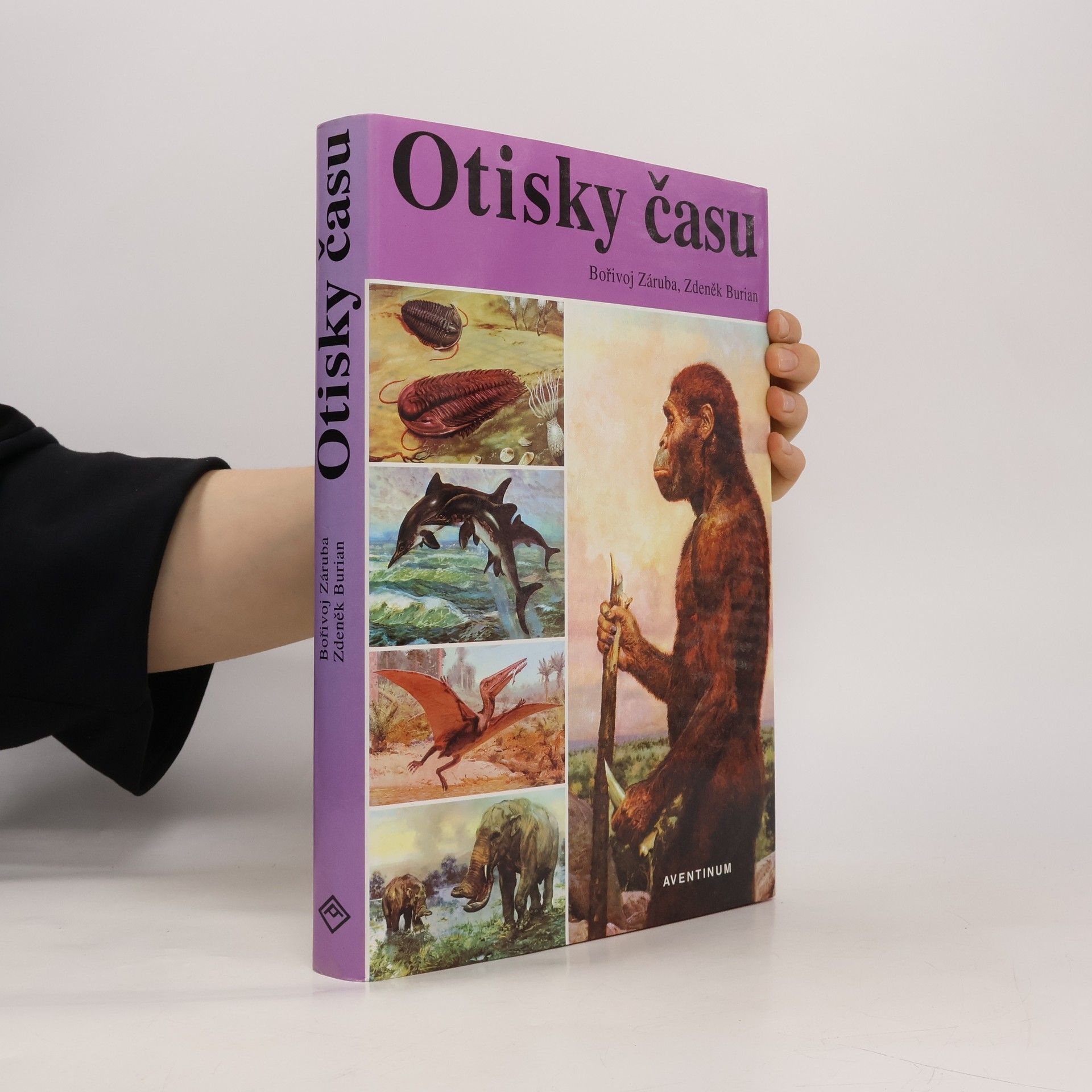 Bořivoj Záruba Otisky času