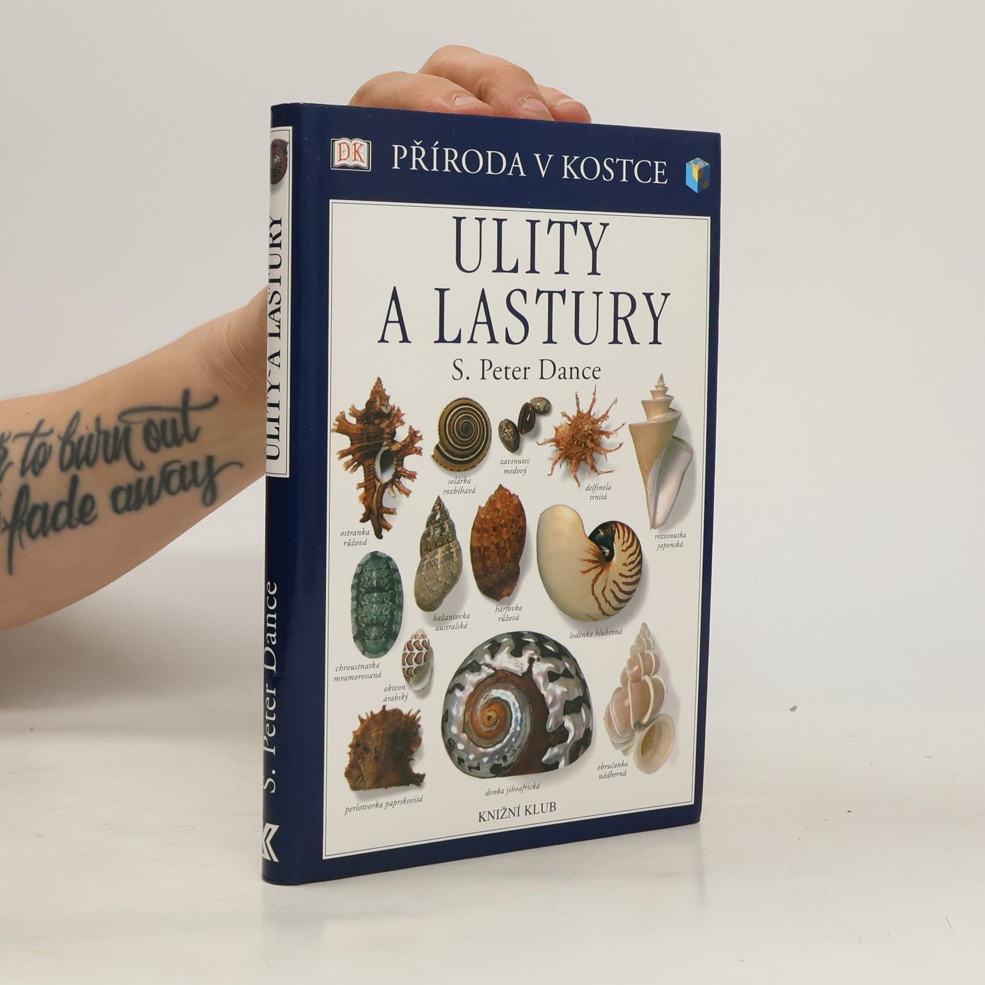 S. Peter Dance Ulity a lastury