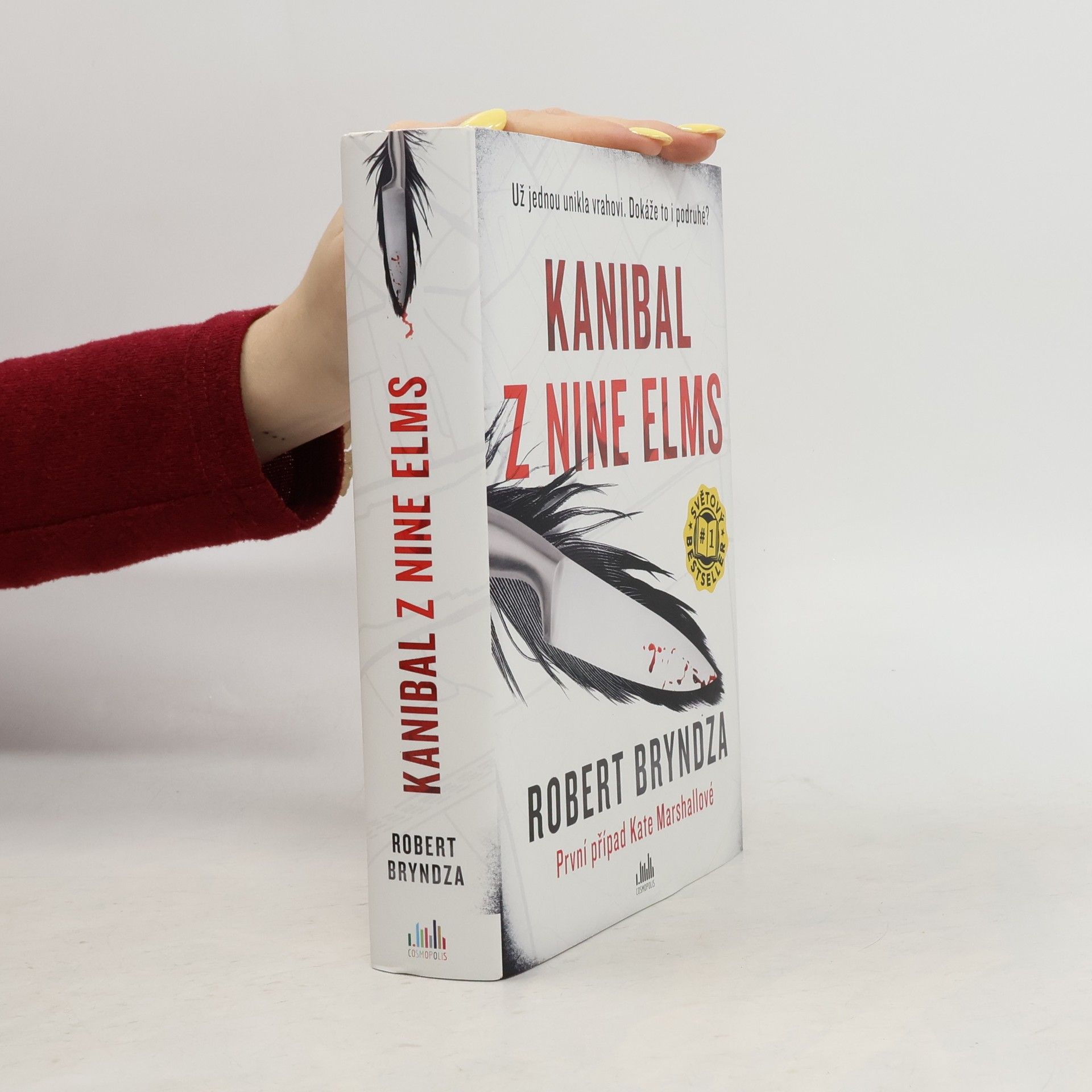 Robert Bryndza Kanibal z Nine Elms