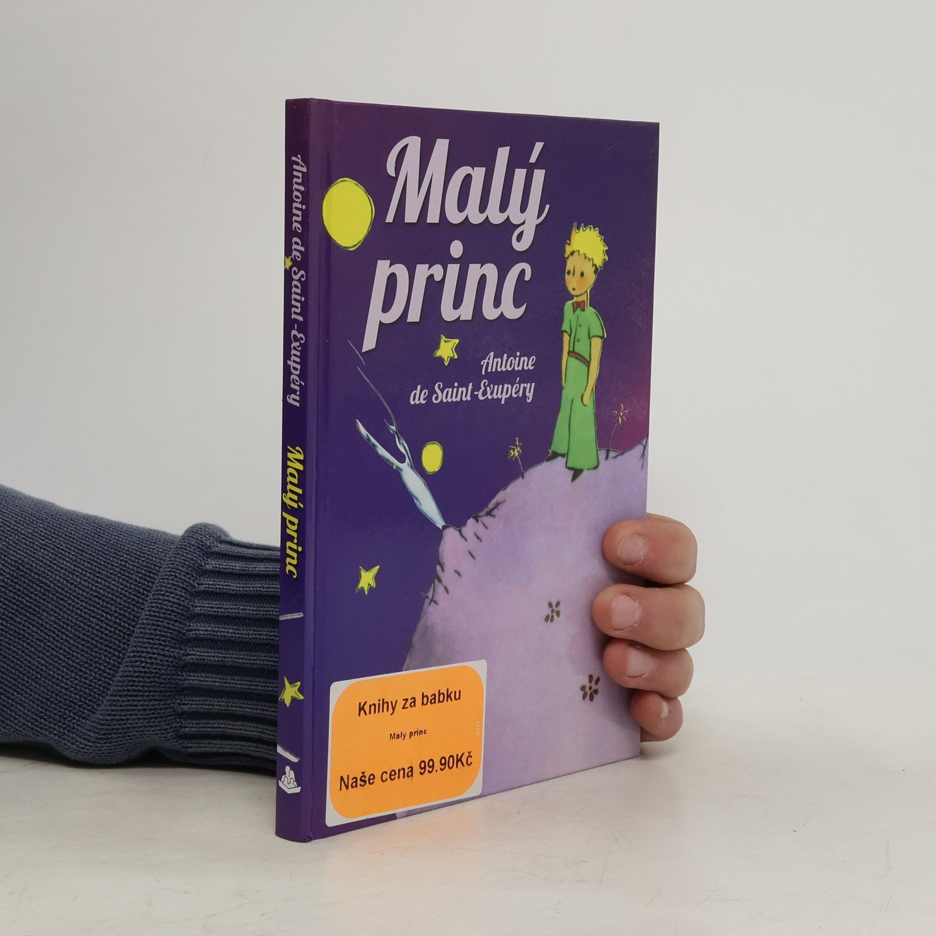 Kolektiv autorů Malý princ