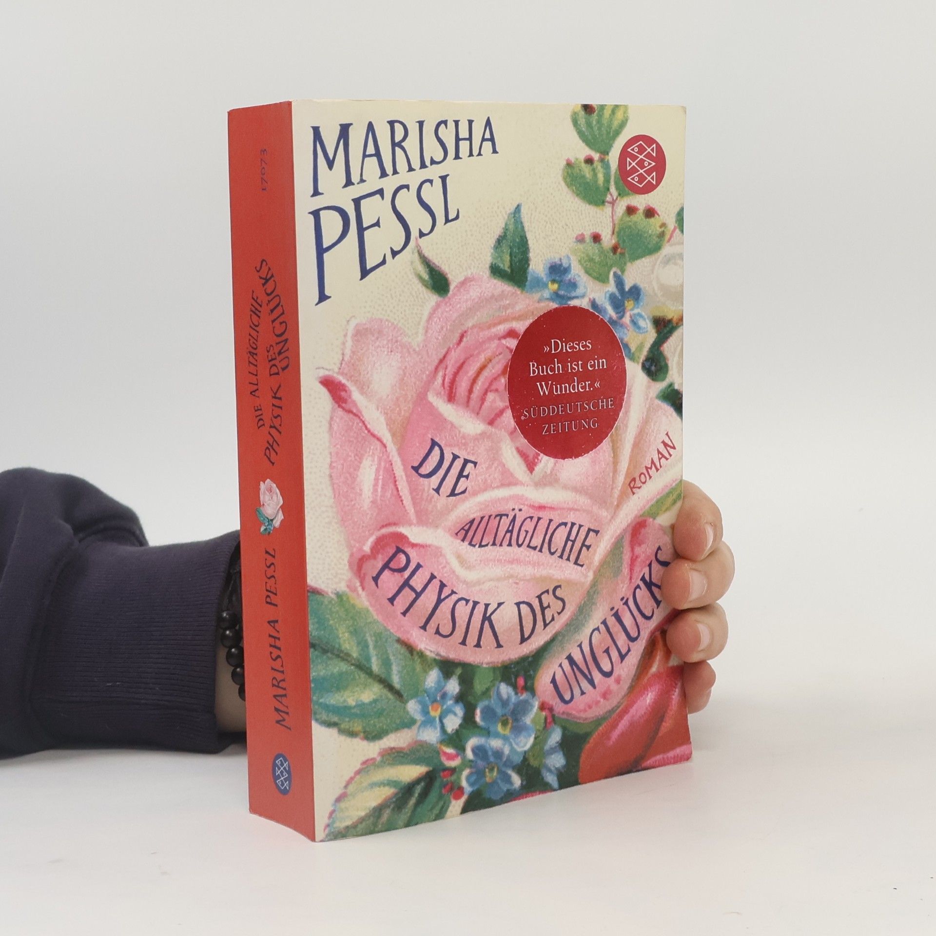 Marisha Pessl Die alltägliche Physik des Unglücks