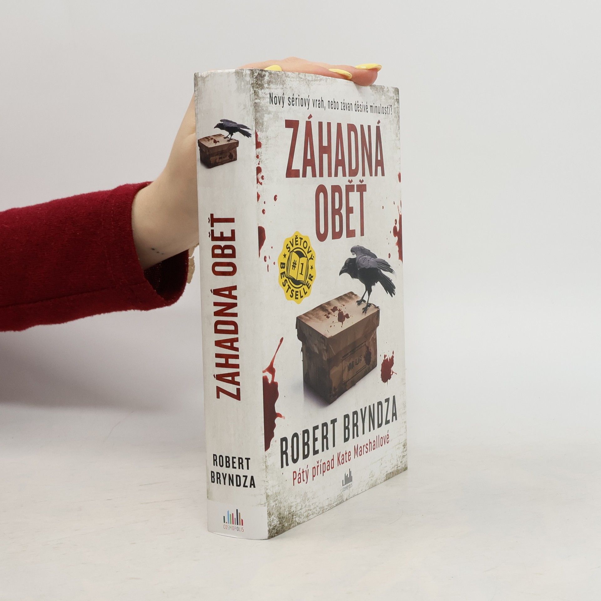 Robert Bryndza Záhadná oběť