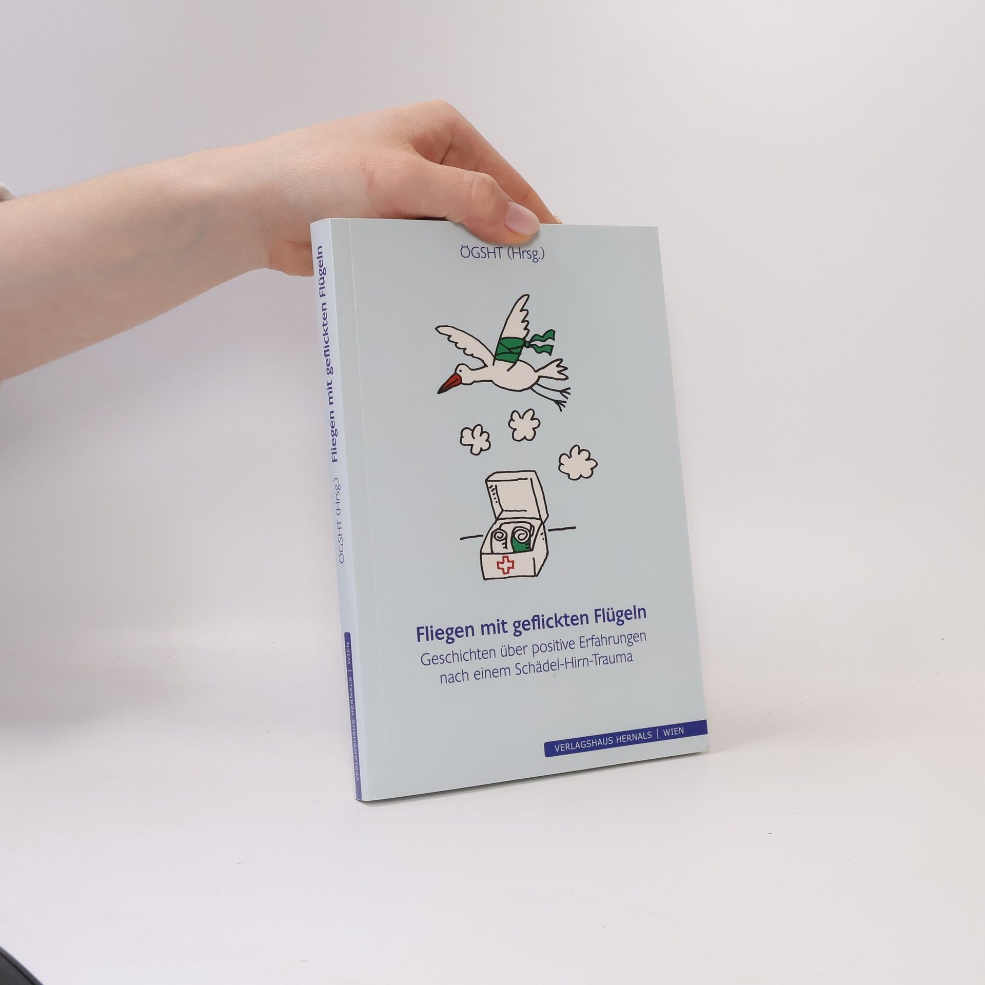 Martin Hirsch Fliegen mit geflickten Flügeln